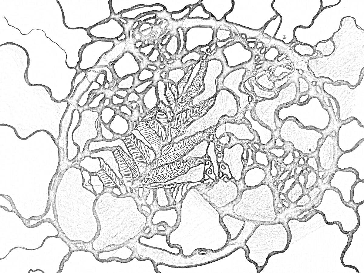 Раскраска Абстрактная нейрографическая рисунок с двухцентровым узором и линиями окружностей и чёрными сетчатыми формами