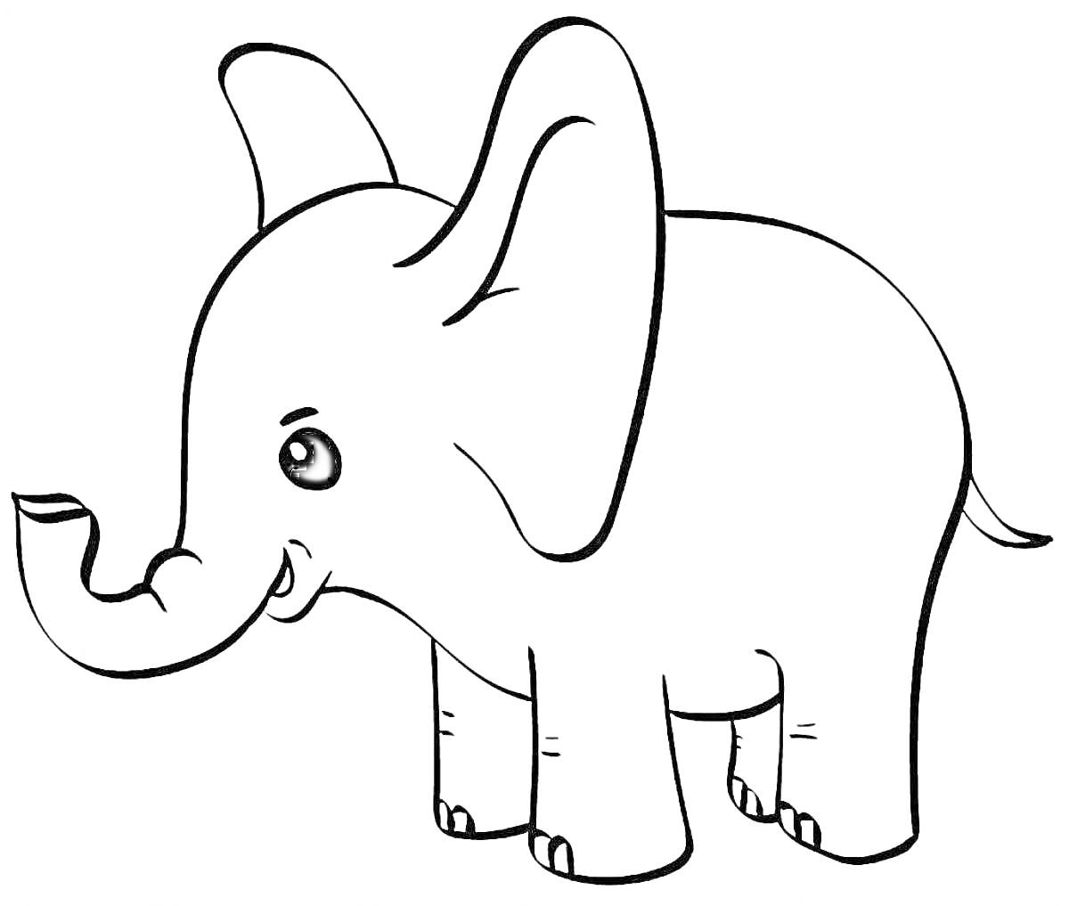 Раскраска маленький слоник с большими ушами