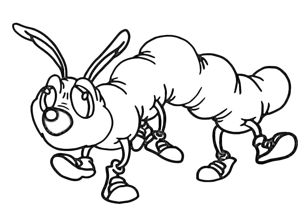 Раскраска Собака гусеница с ушами, лапками и обувью
