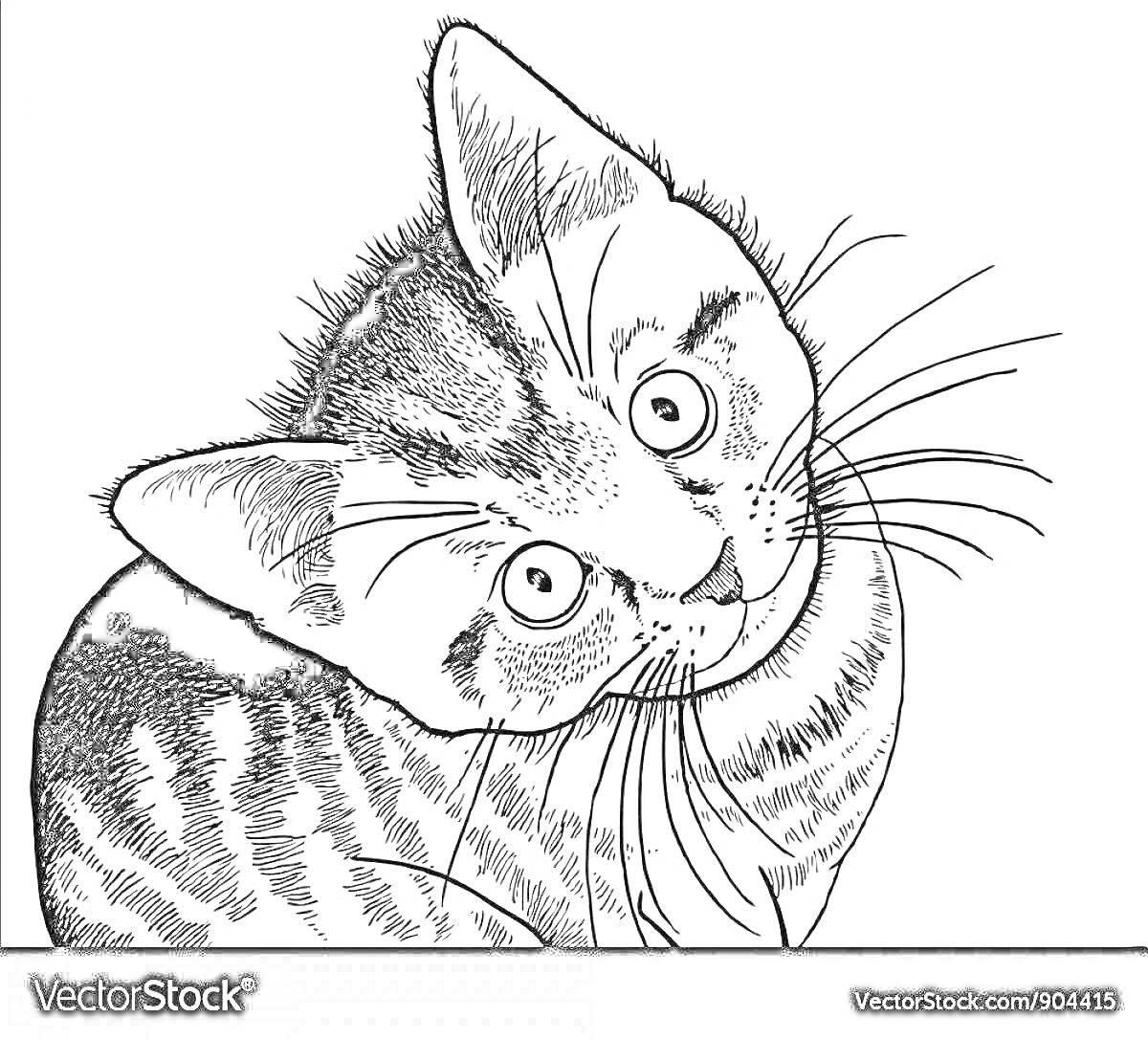 На раскраске изображено: Кот, Полосатый кот, Реалистичный, Большие глаза, Усы