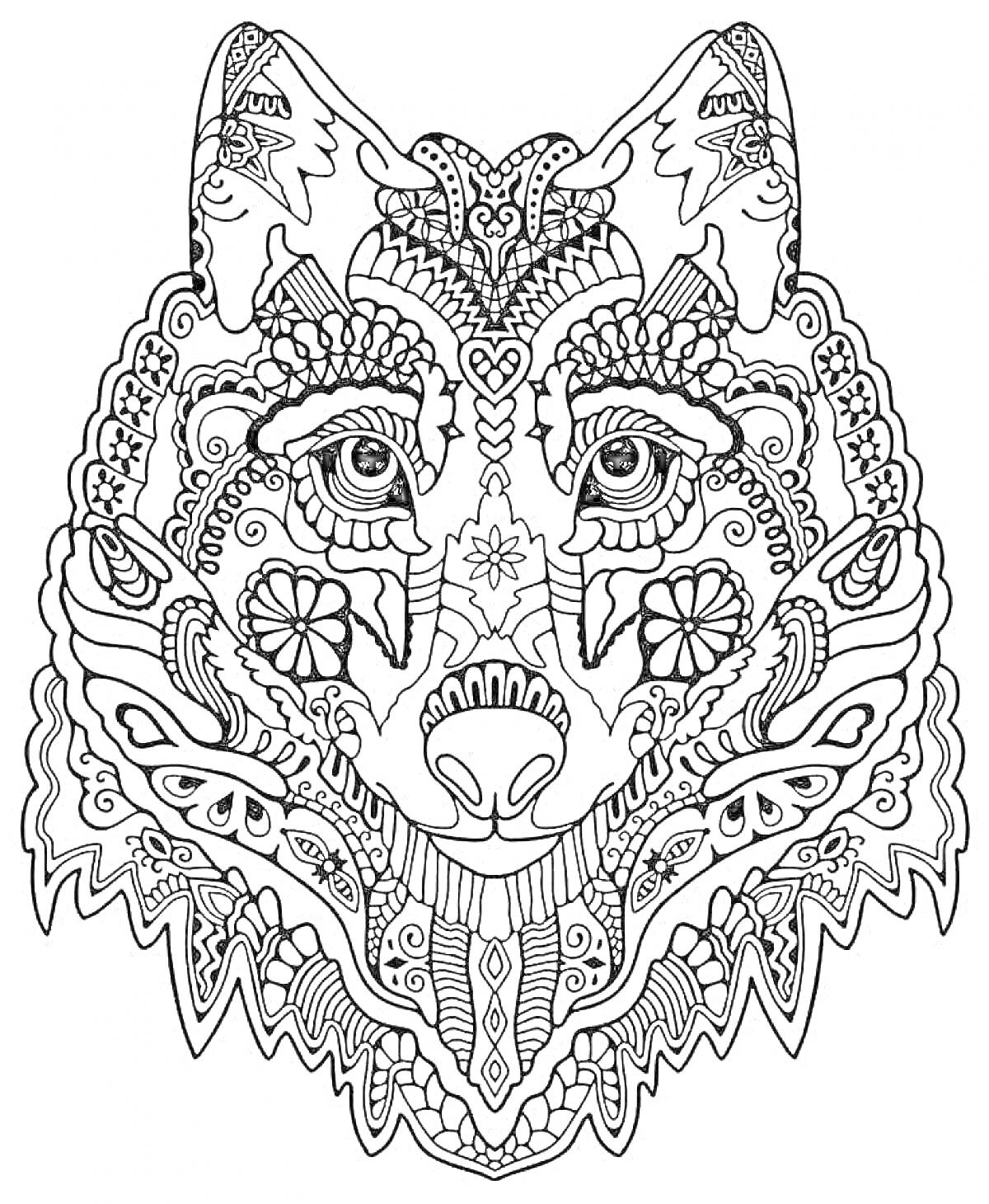 Раскраска Волчья голова с художественными узорами и декоративными элементами
