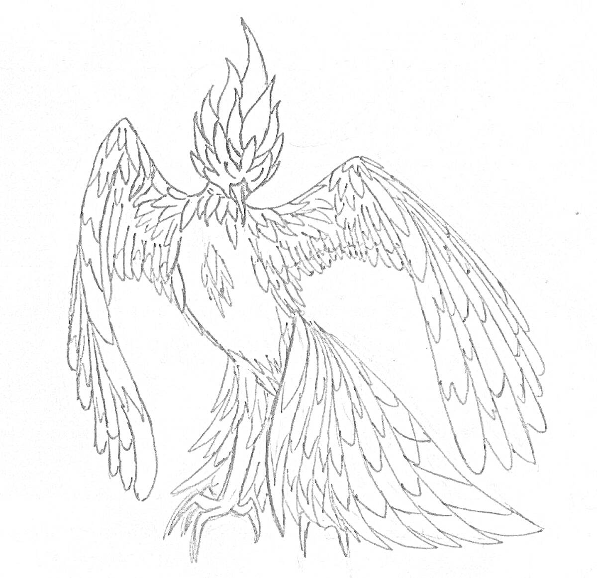 На раскраске изображено: Феникс, Птица, Крылья, Гребень, Перья, Огонь, Магическое существо, Мифические существа