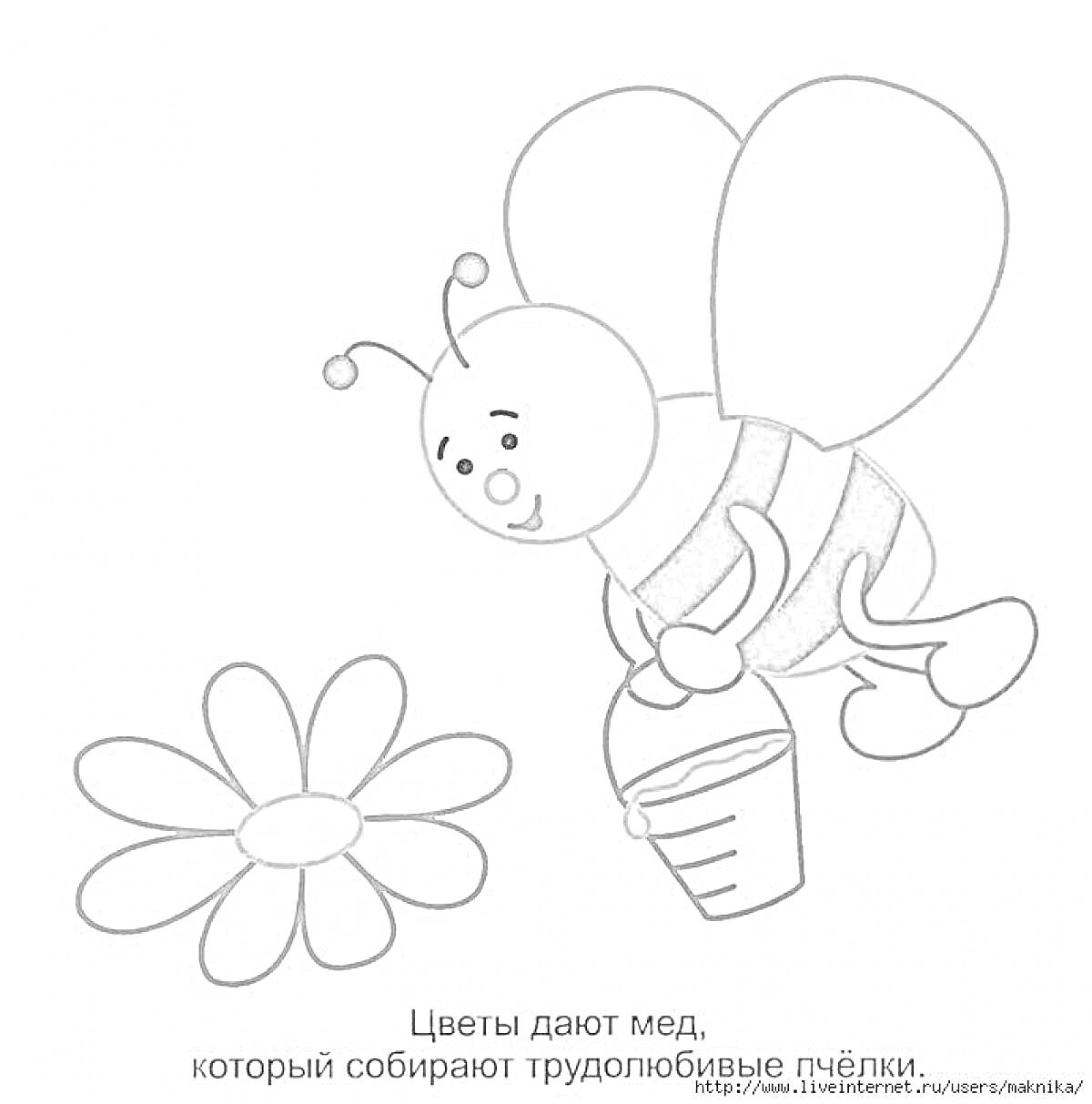 Раскраска Пчела собирает мед с цветка