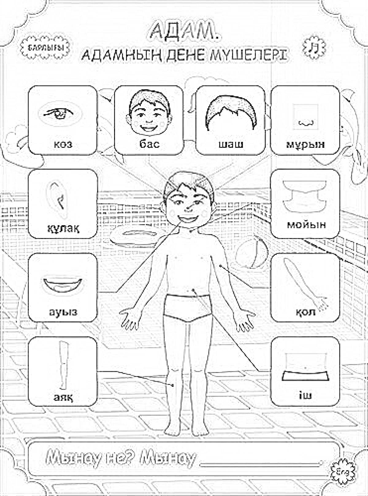 На раскраске изображено: Адам, Дене мүшелері, Бас, Көз, Мұрын, Аяқ