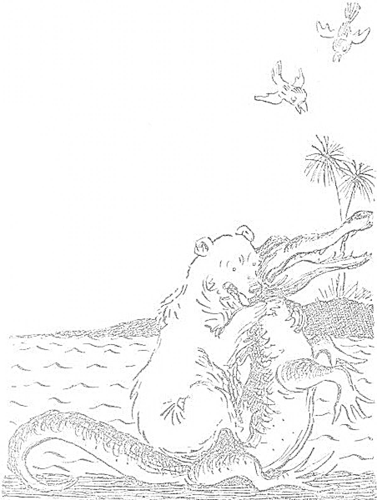 На раскраске изображено: Медведь, Крокодил, Схватка, Река, Берег, Пальмы, Природа