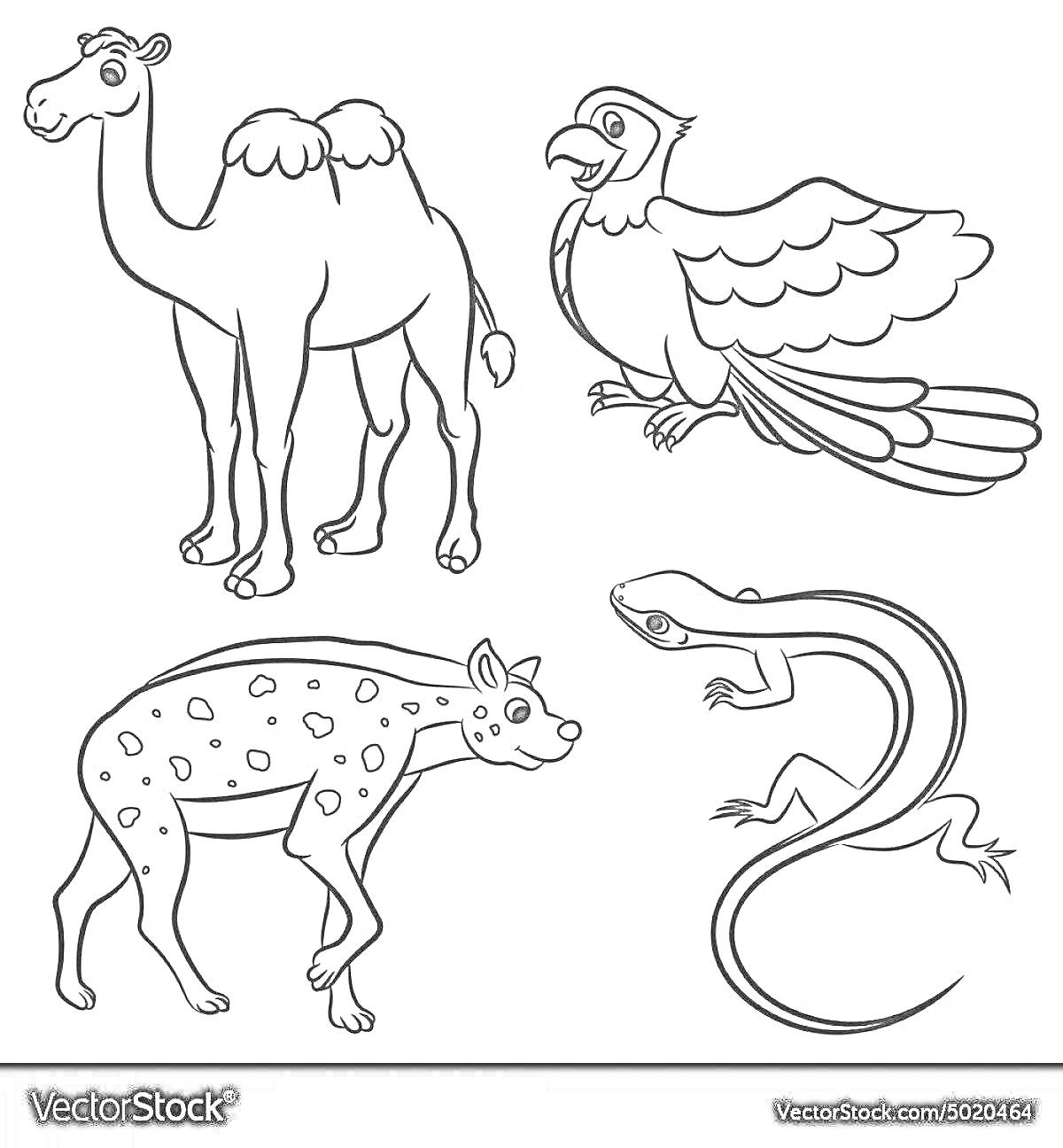 На раскраске изображено: Животные, Пустыня, Верблюд, Гиена