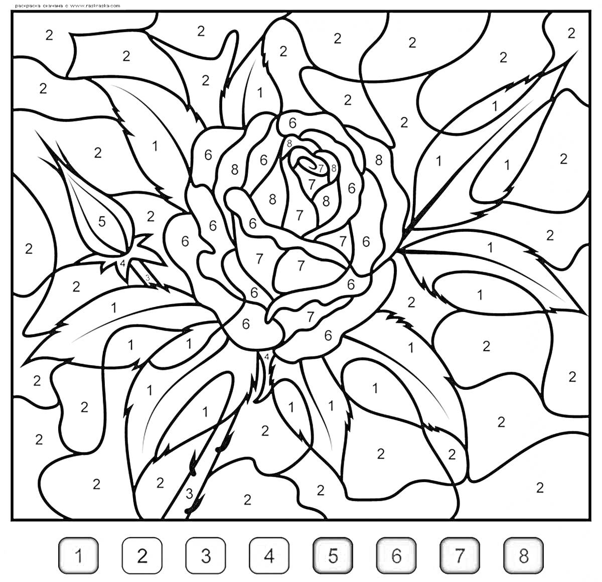 Раскраска Роза с бутонами и листьями