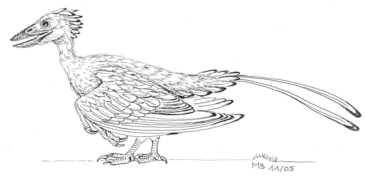 Раскраска Археоптерикс с длинными перьями, клювом и когтистыми лапами