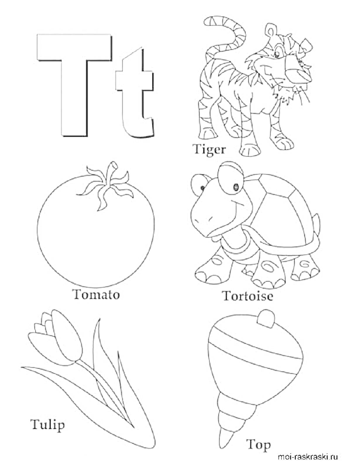 На раскраске изображено: Алфавит, Буква T, Тигр, Помидор, Черепаха, Волчок, Обучение, Детские рисунки, Английский язык, Тюльпаны
