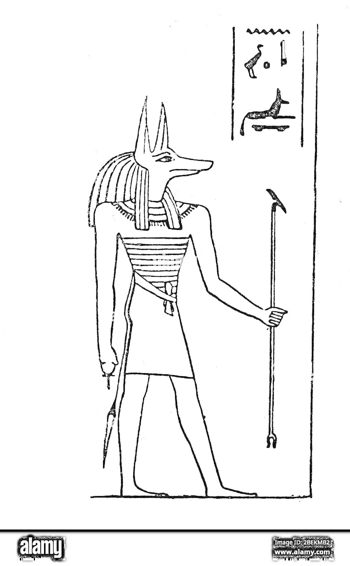 Анубис бог древнего Египта, изображенный в традиционной позе с посохом и плеткой, рядом с иероглифами