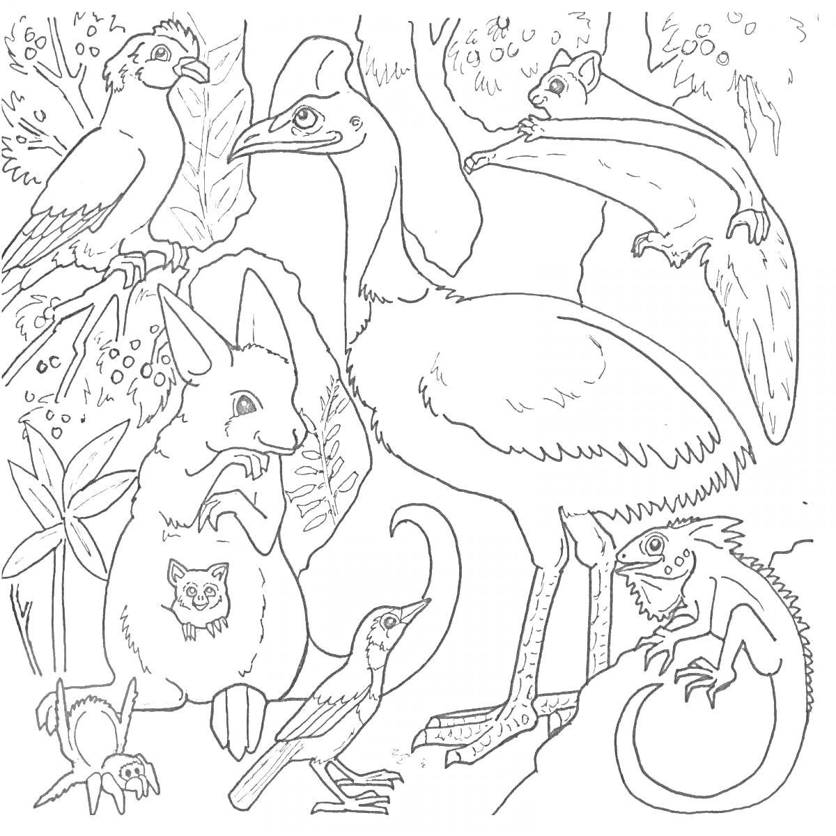 Раскраска Большие и малые животные леса: птицы, кенгуру с детёнышем, сумчатая летяга, варан