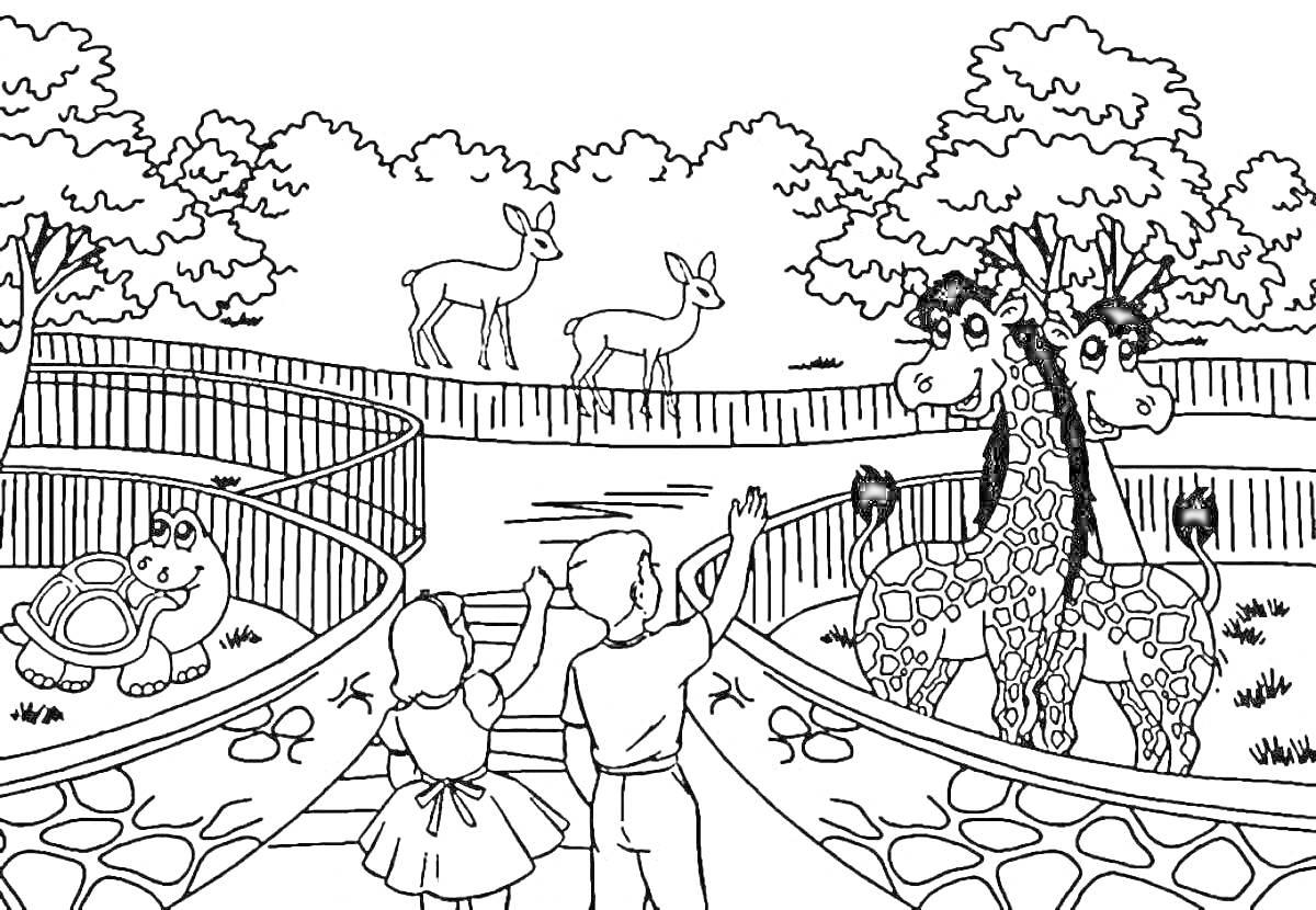 Раскраска Детская раскраска с детьми, жирафами, черепахой и оленями в зоопарке