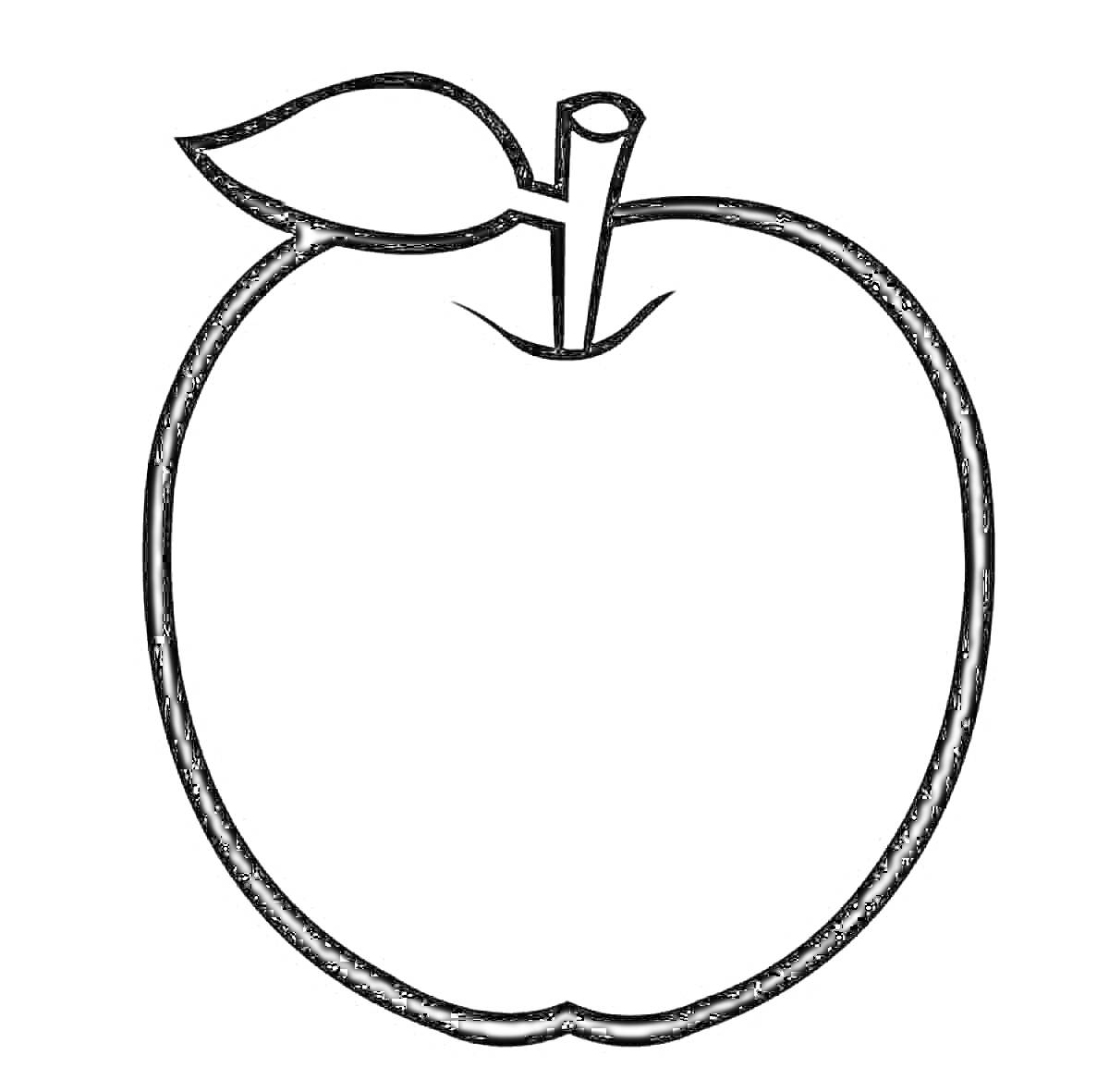 На раскраске изображено: Яблоко, Стебель, Для малышей, 2 года, Листья, Фрукты