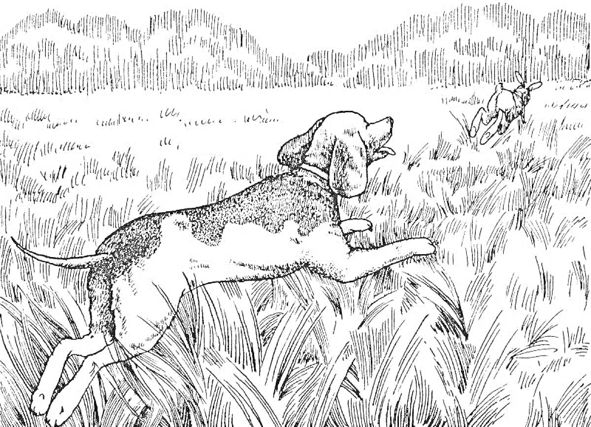 Раскраска Собака, бегущая за оленем в поле на фоне деревьев