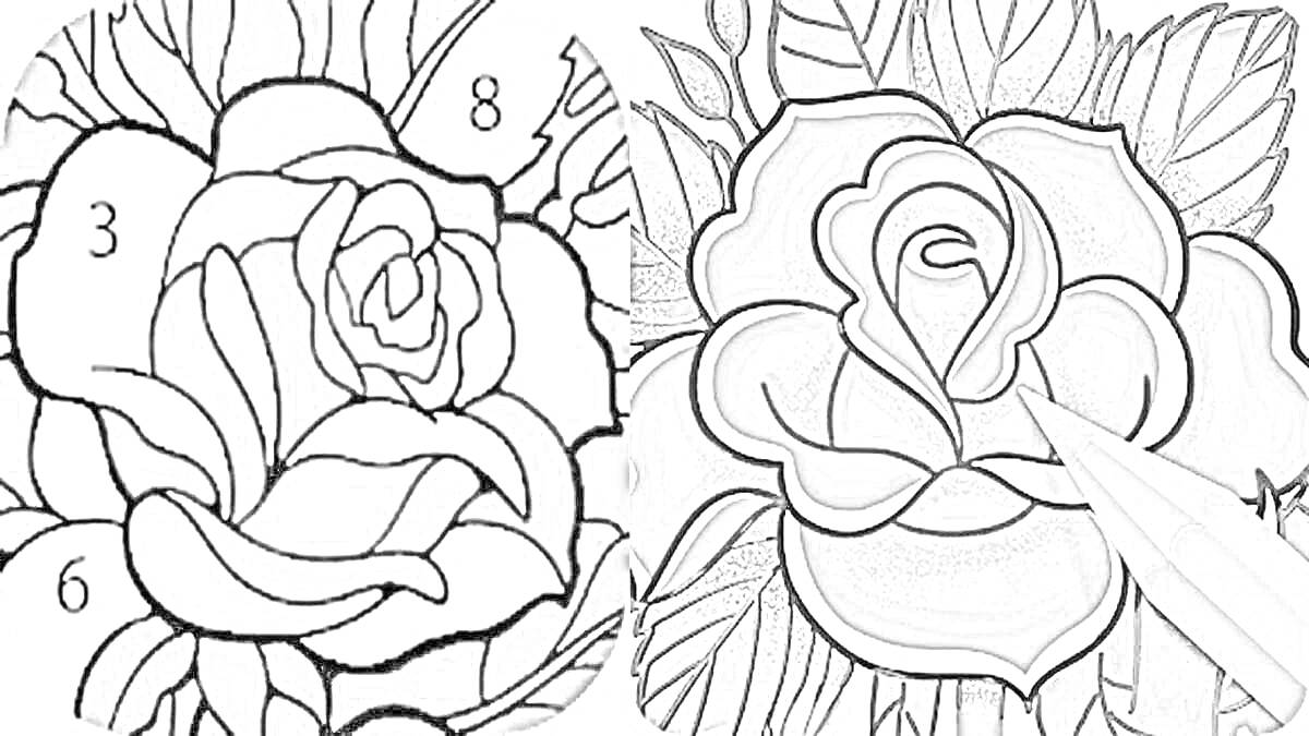 На раскраске изображено: Розы, Цветы, Листья, Хэппи колор, Цифры