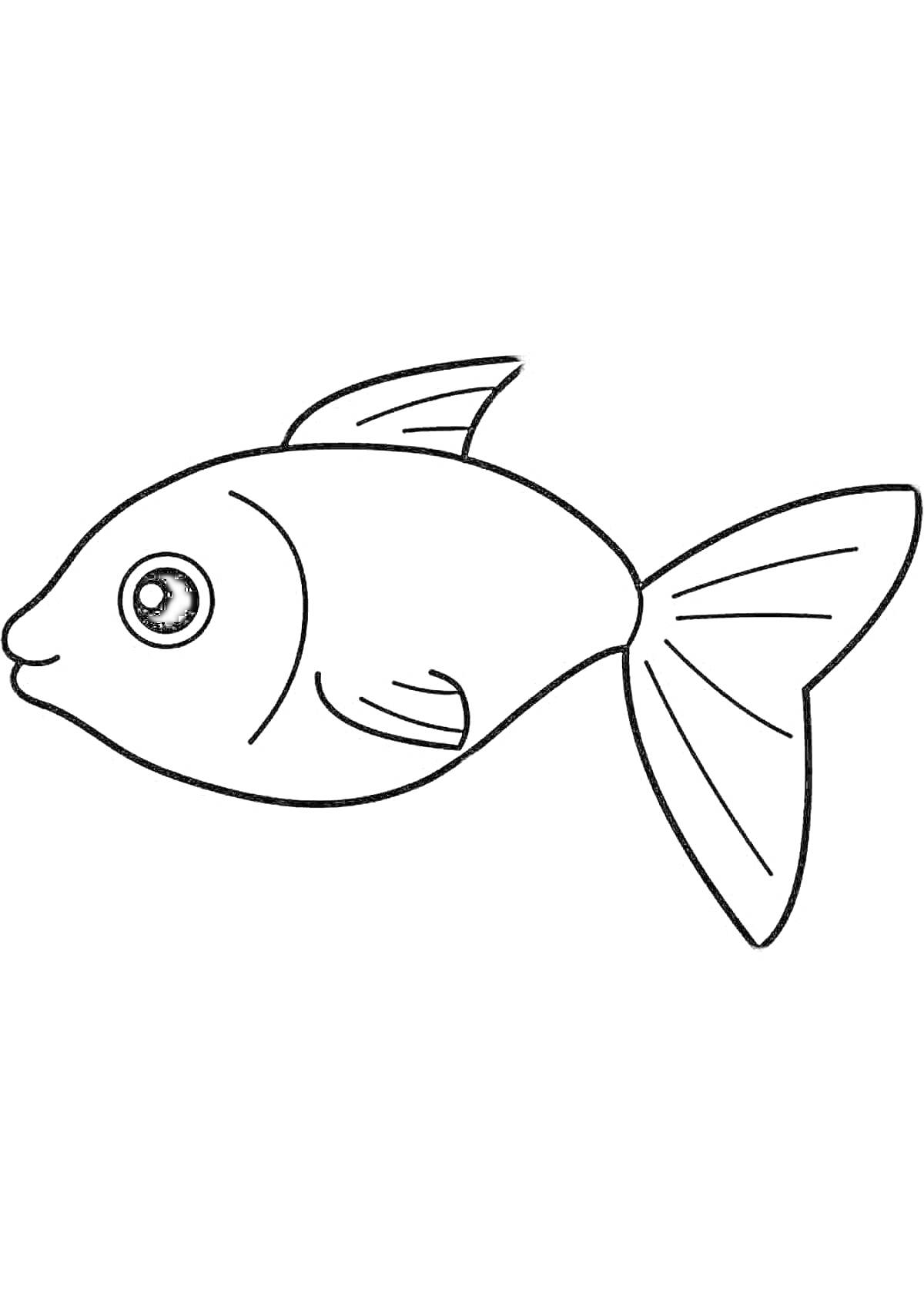 Раскраска простая рыбка с большим плавником и круглыми глазами