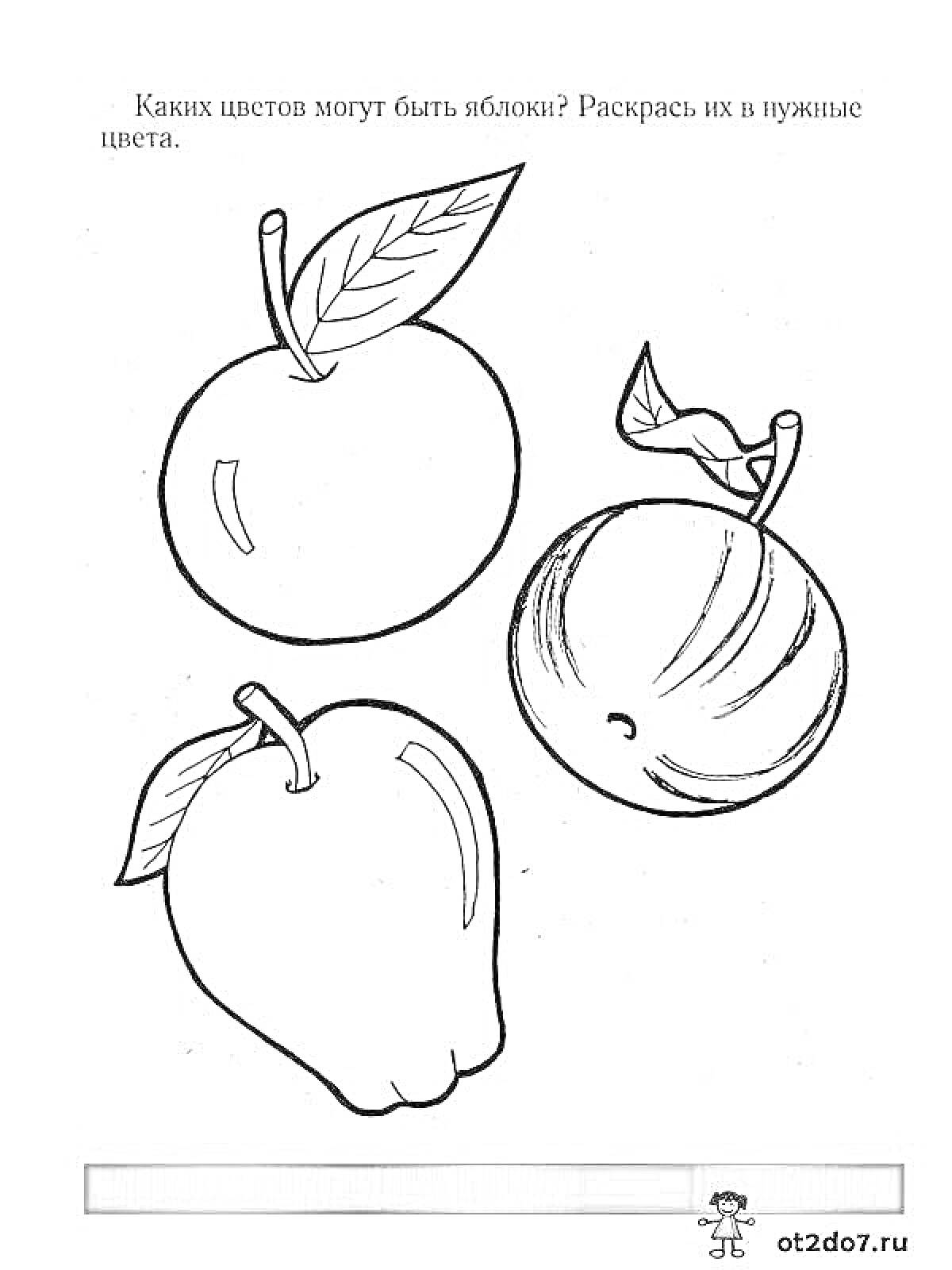 Раскраска Раскраска с тремя яблоками и листьями для изучения цветов