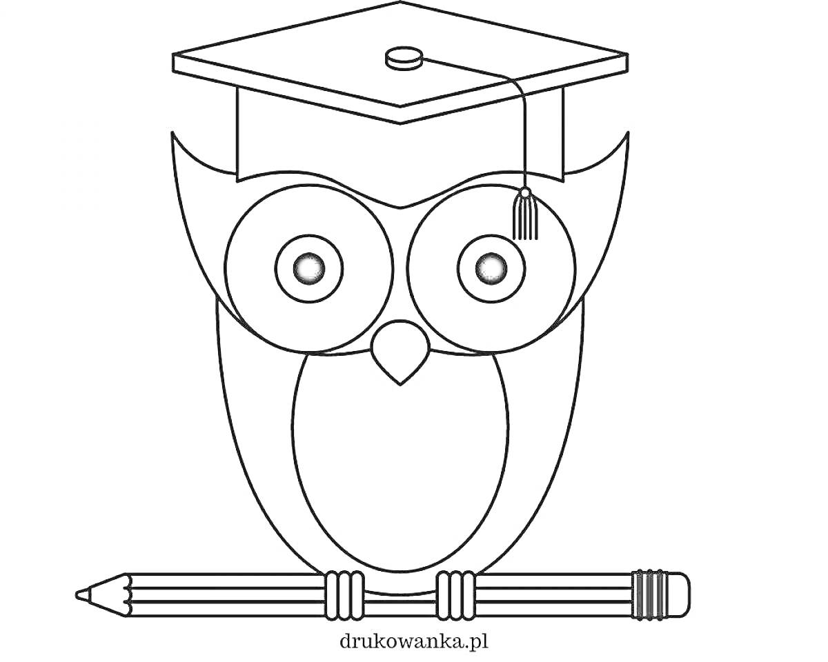 Раскраска Сова в академической шапочке с карандашом