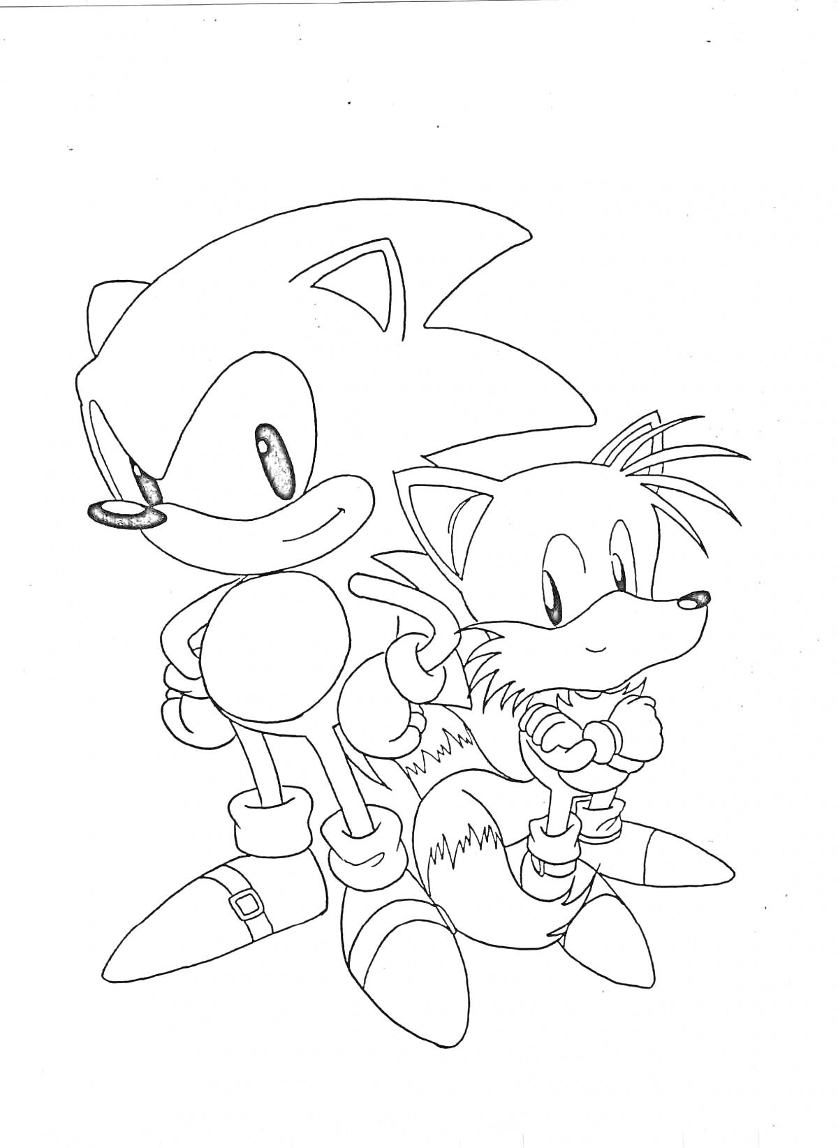 Раскраска Sonic the Hedgehog и Tails стоят рядом