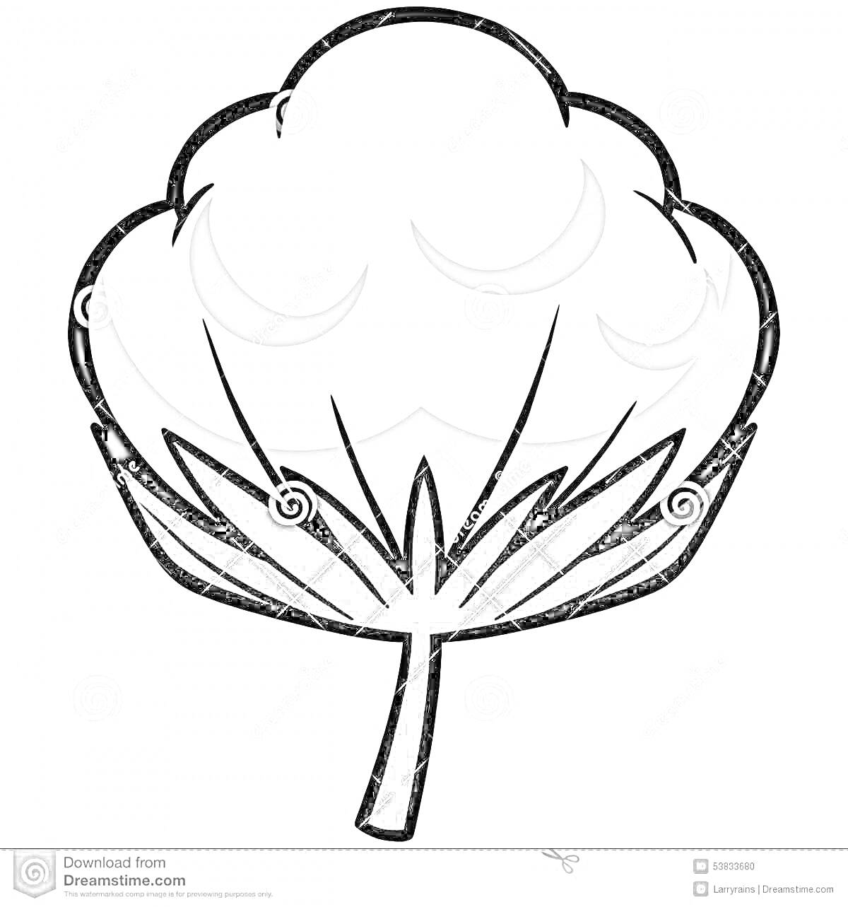На раскраске изображено: Хлопок, Ботаника, Для детей