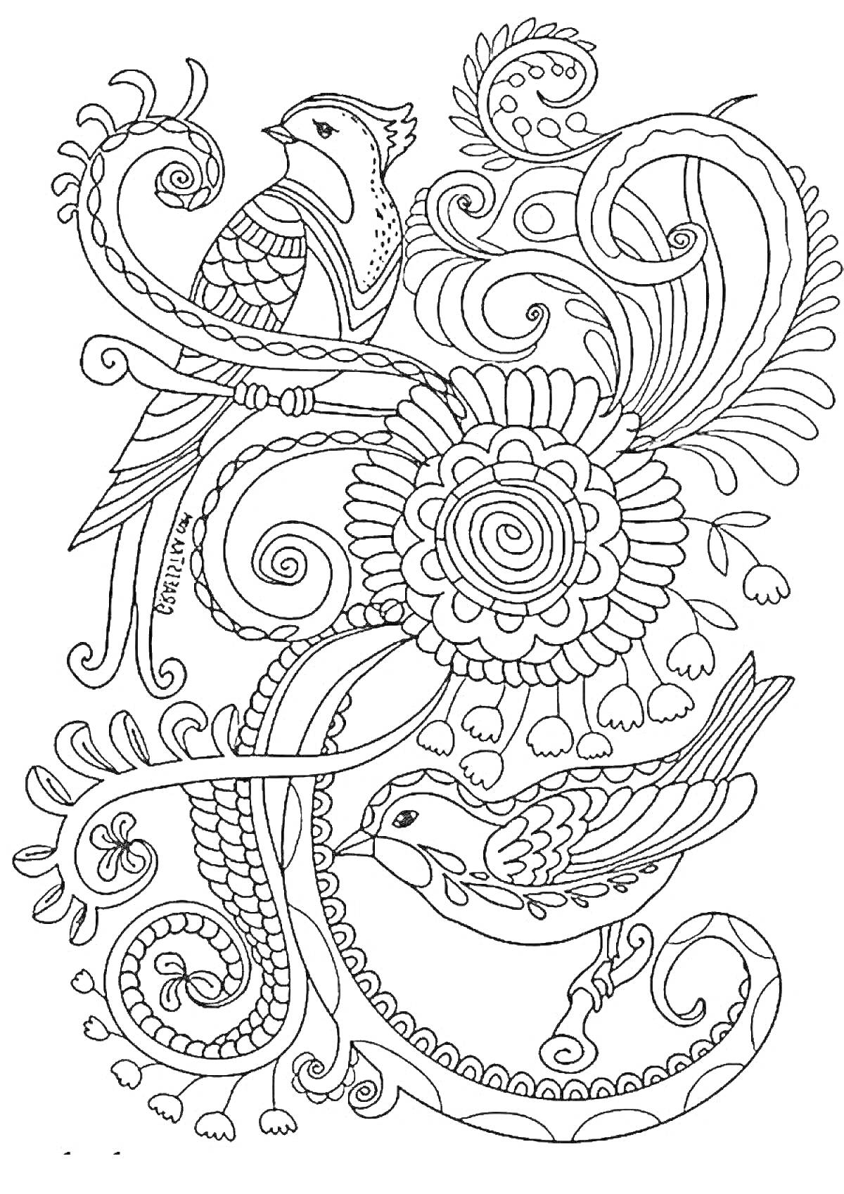 Раскраска Птицы на ветвях с узорчатым цветком и завитками