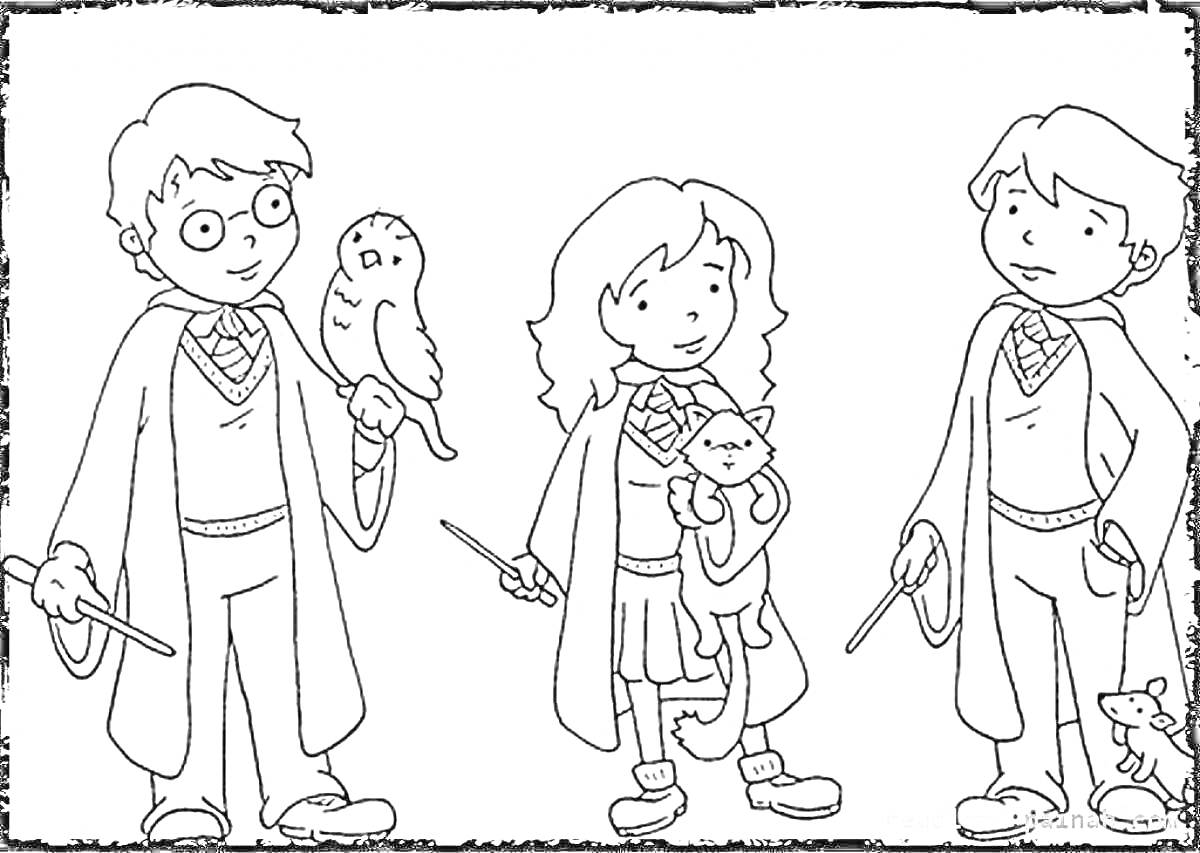 Раскраска Три ученика в мантиях с палочками, совой и котом