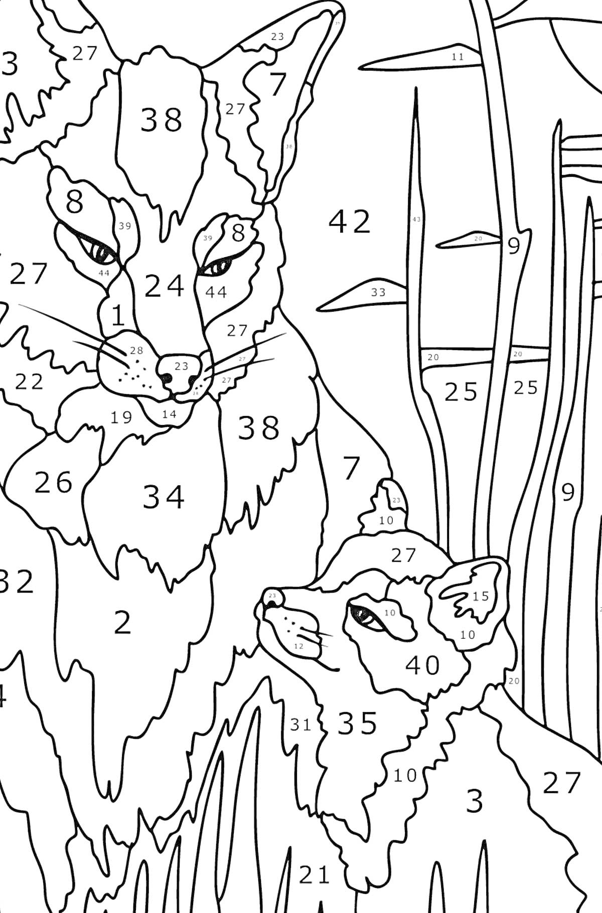 Раскраска Раскраска по номерам с изображением двух лис среди травы и камышей