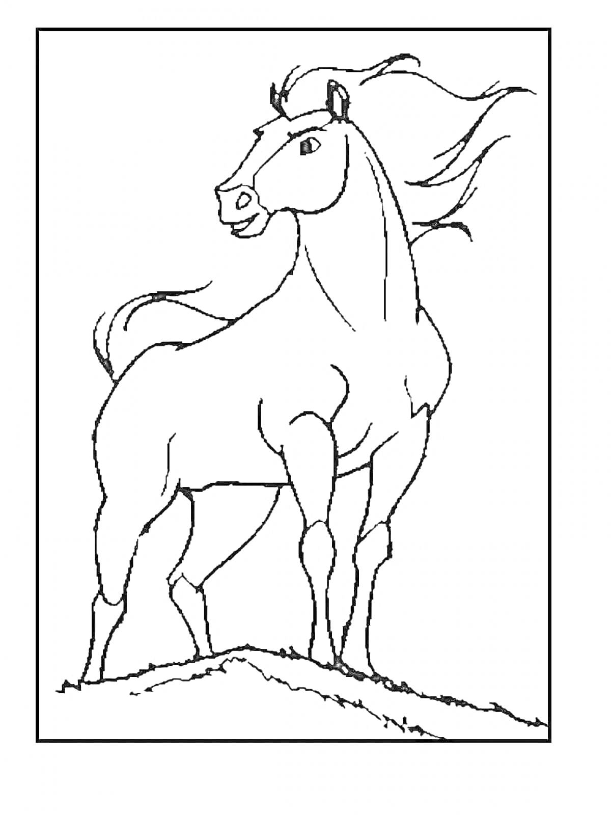 На раскраске изображено: Спирит, Лошадь, Грива, Ветер, Природа