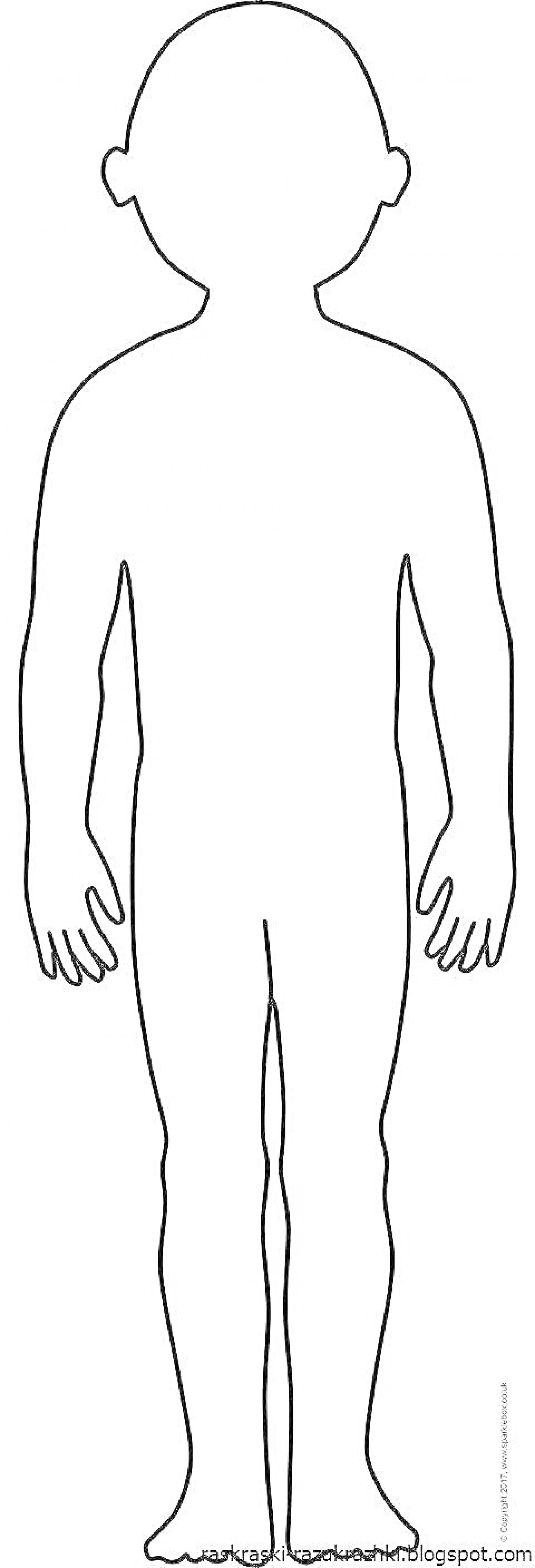 На раскраске изображено: Тело человека, Уши, Руки, Ноги, Голова, Для детей