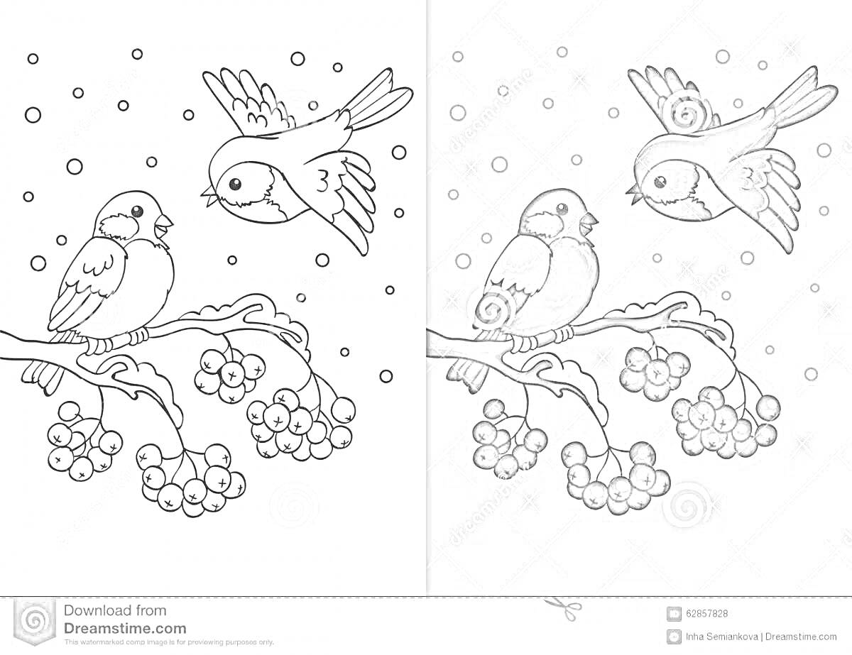 Раскраска Две птички на ветках с ягодами зимой, падает снег