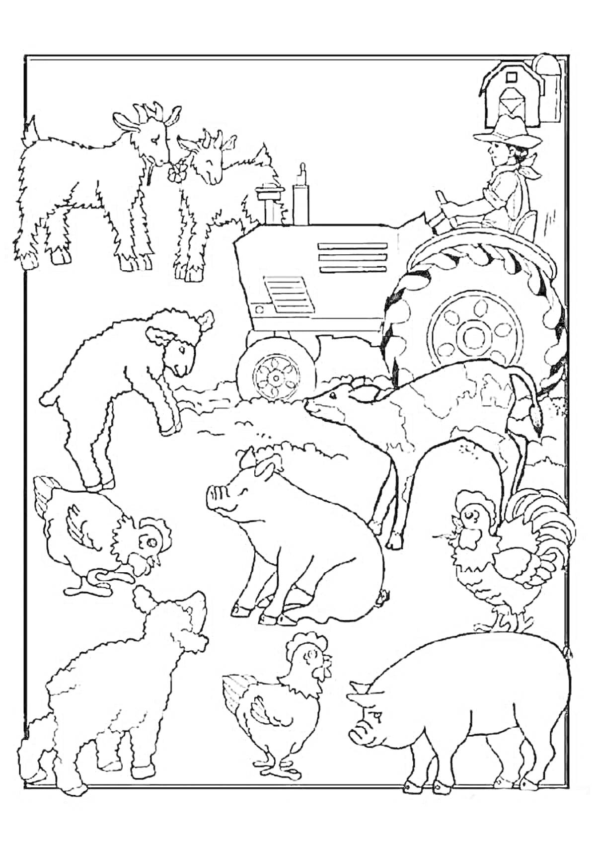 На раскраске изображено: Козы, Свиньи, Петух, Трактор, Фермер, Домашние животные, Ферма, Сельское хозяйство