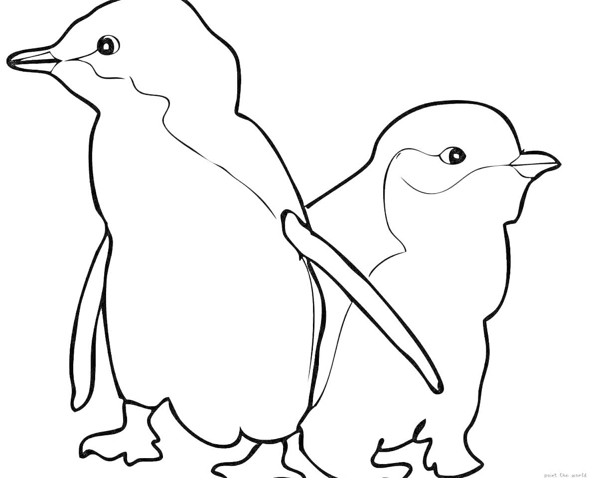 На раскраске изображено: Раскрашивание, Для детей, Животные, Контурные рисунки, Пингвины, Развлечения