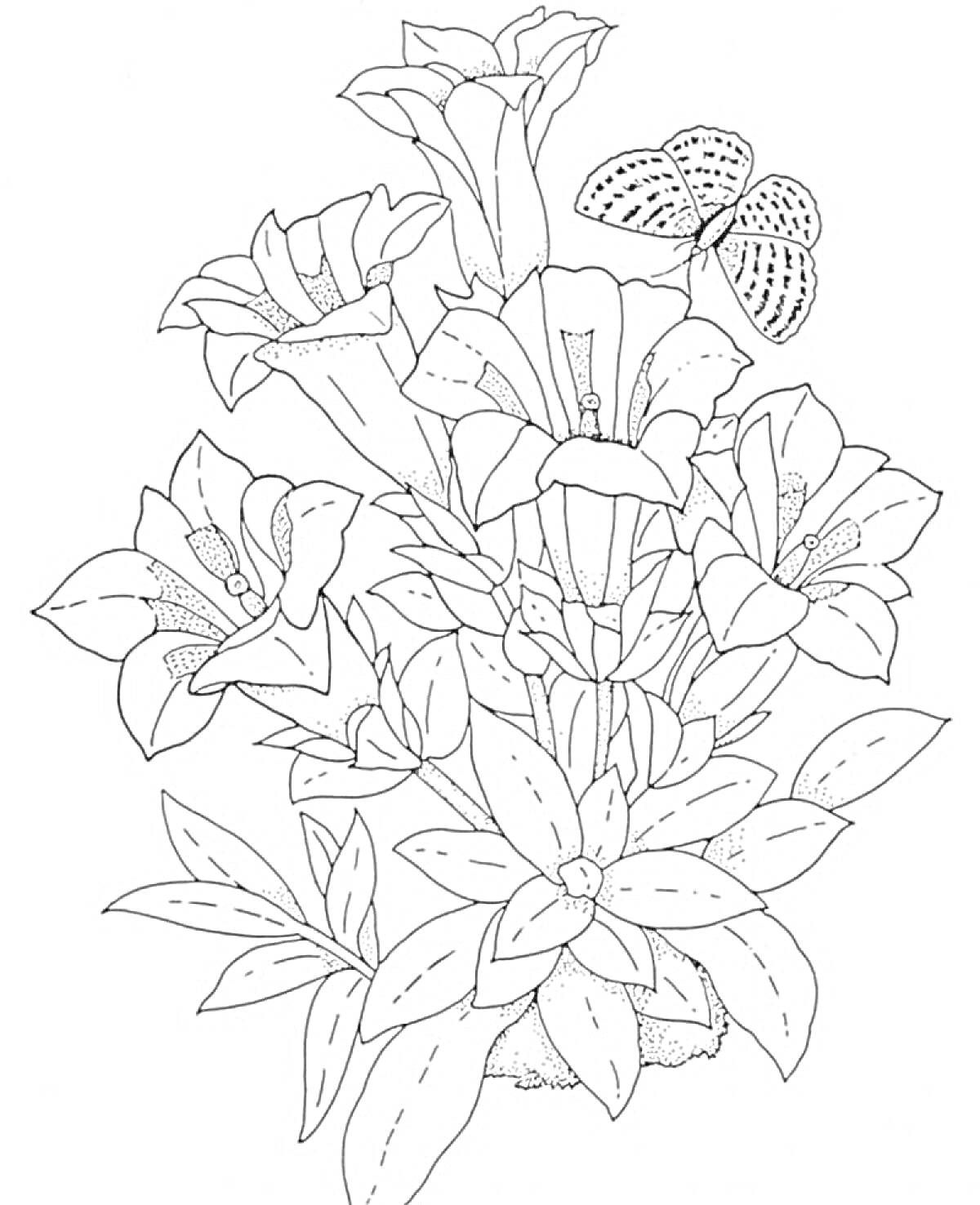 На раскраске изображено: Бабочка, Цветы, Листья, Крупные цветы, Природа, Лилии