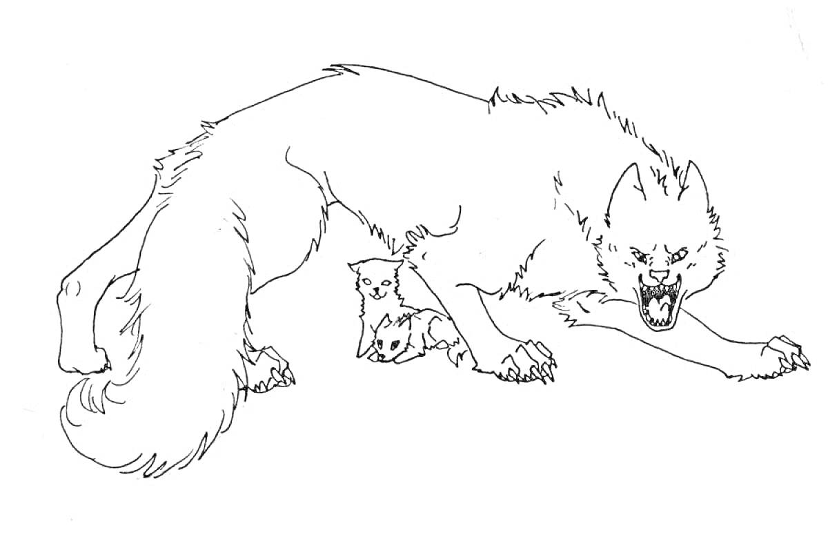 На раскраске изображено: Волк, Злой волк, Рычание, Детеныши, Животные, Агрессия