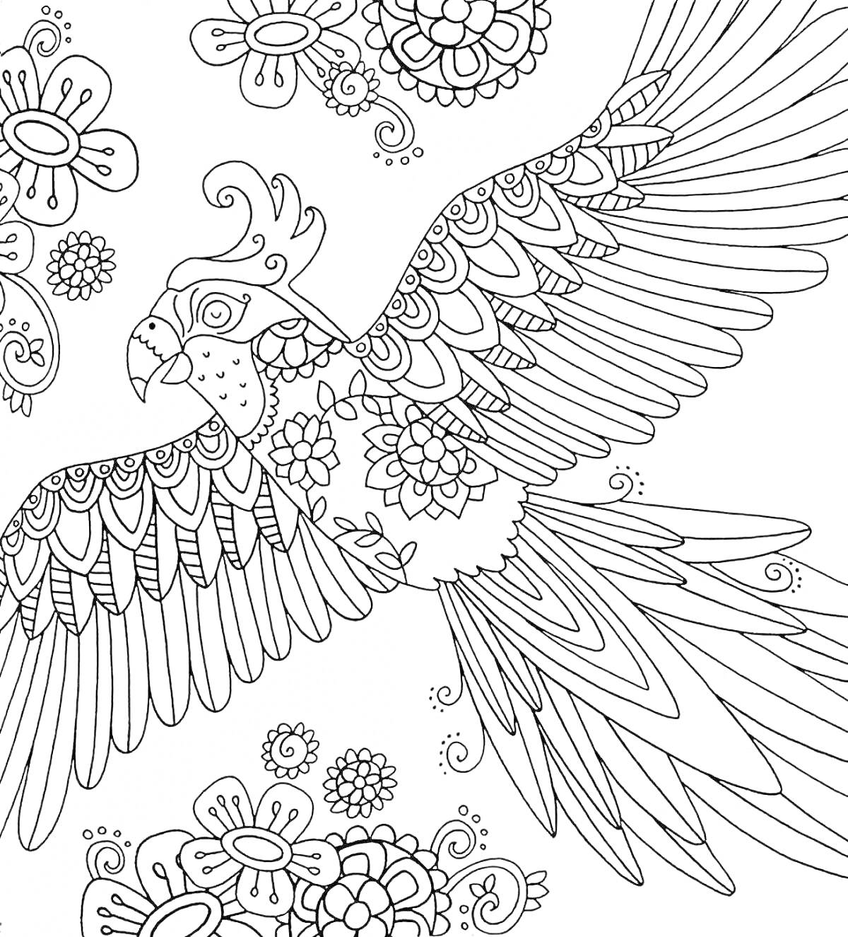 Раскраска Жар-птица с узорами, цветы, декоративные элементы