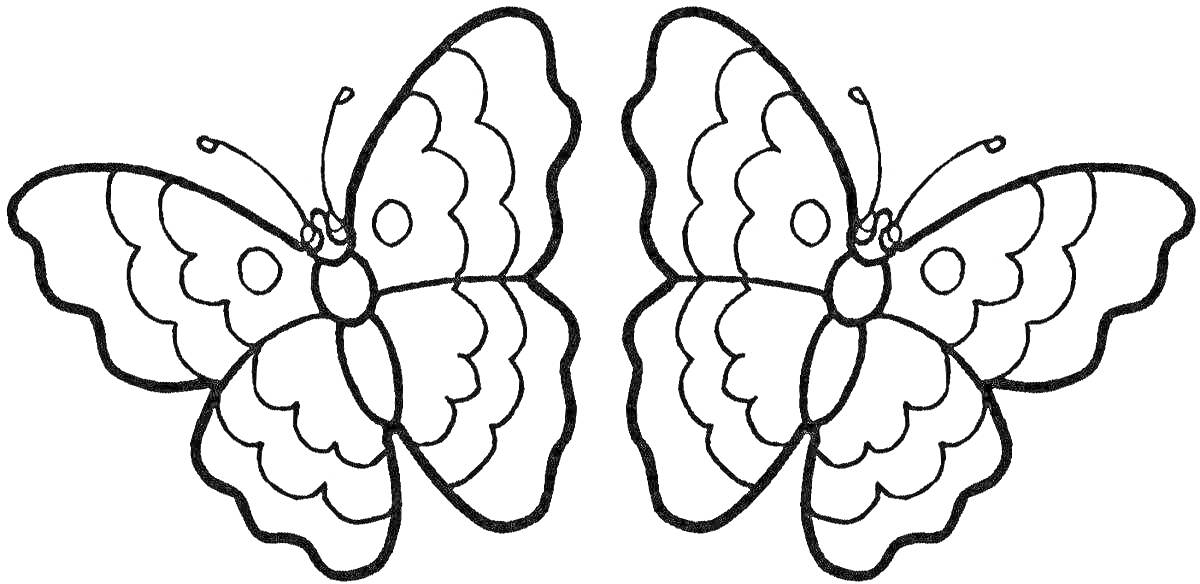 На раскраске изображено: Бабочка, Узоры, Крылья, Для детей, 3-4 года, Насекомое