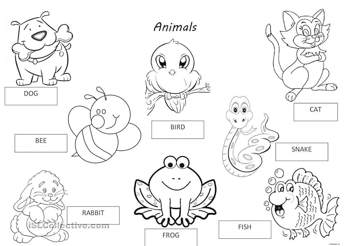 Раскраска Животные: собака, кот, пчела, птичка, змея, кролик, лягушка, рыба