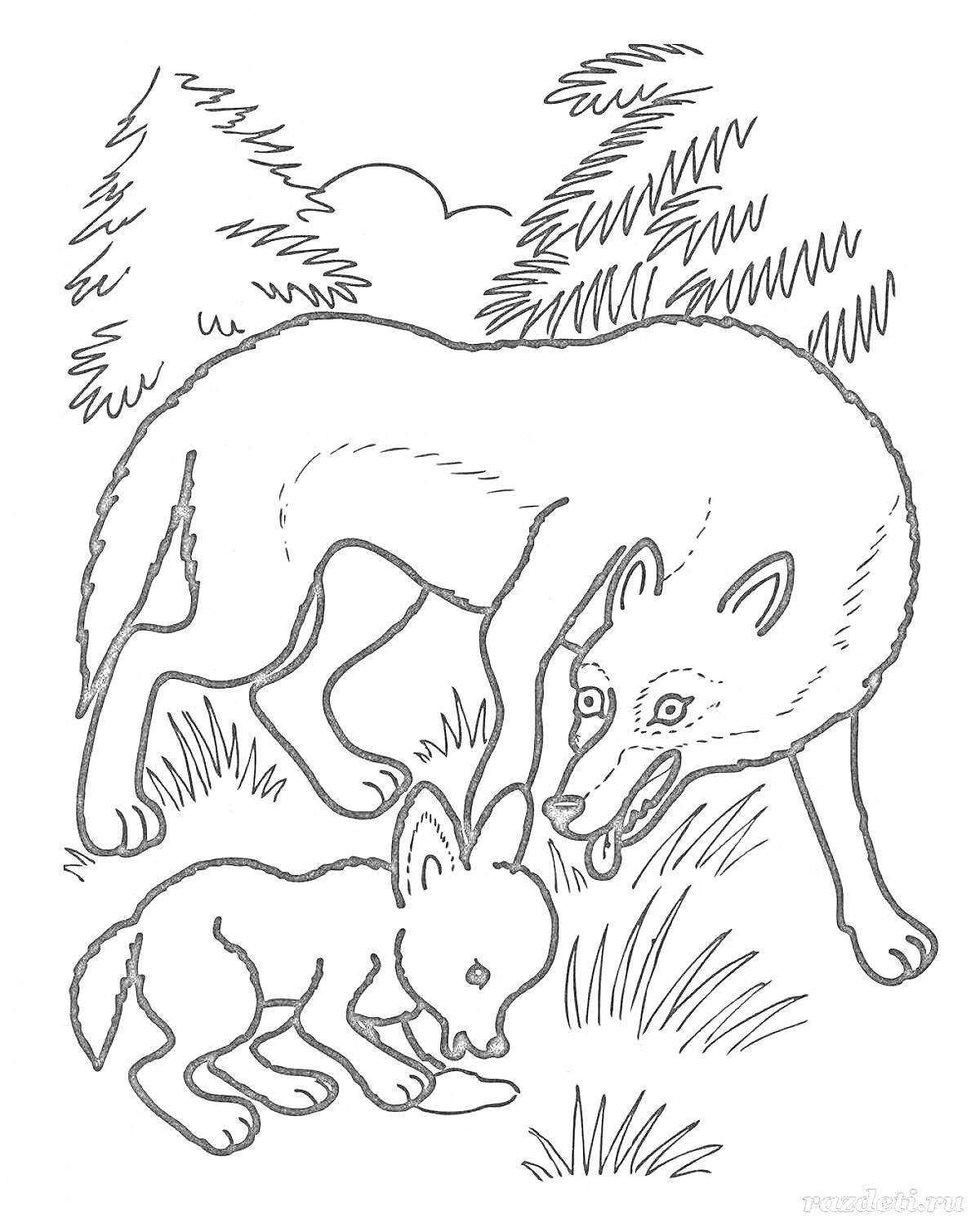 На раскраске изображено: Волк, Волчица, Волчонок, Лес, Дикие животные, Хвоя, Природа, Трава