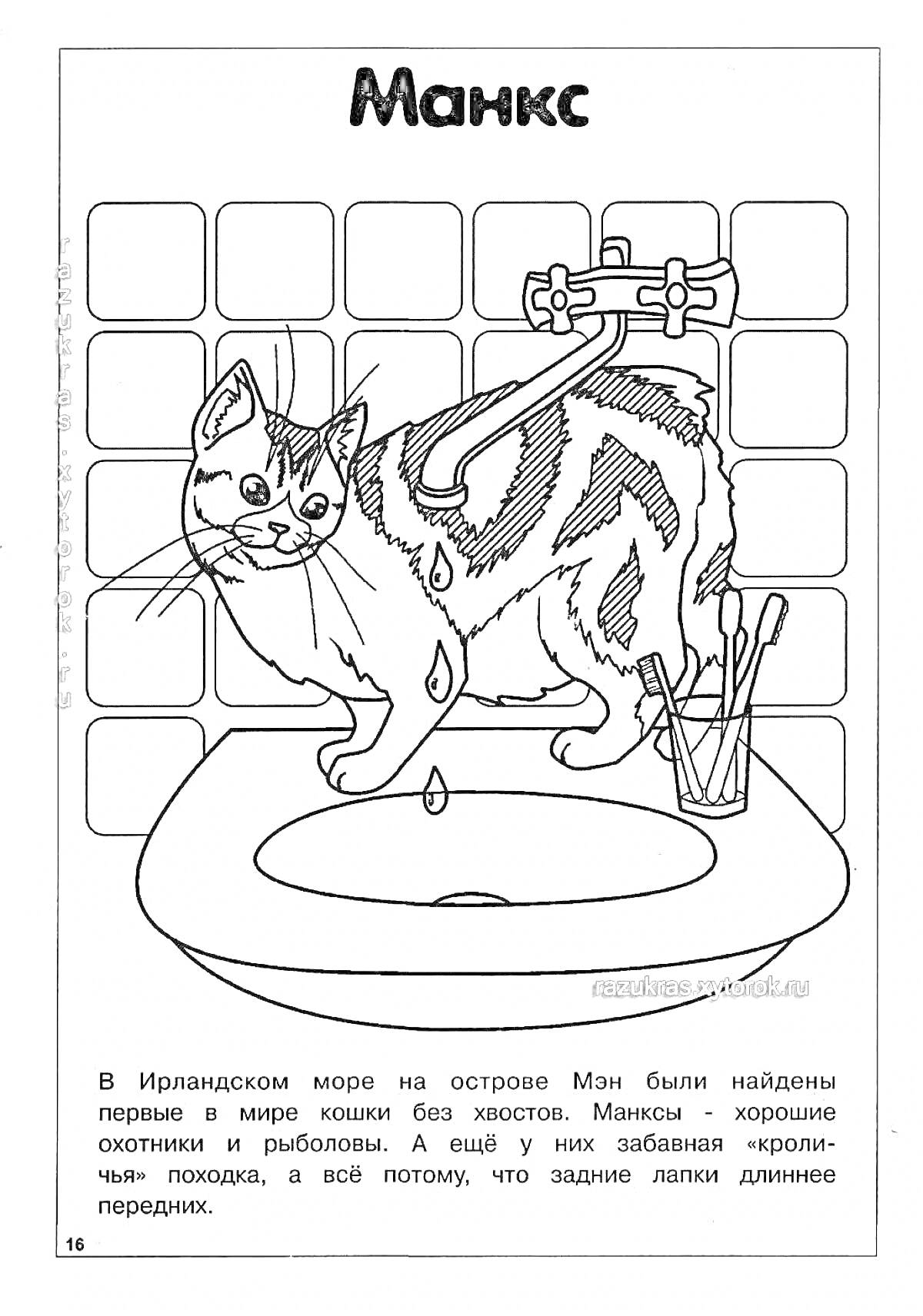 Мэнкс в ванной с кранами и каплями воды