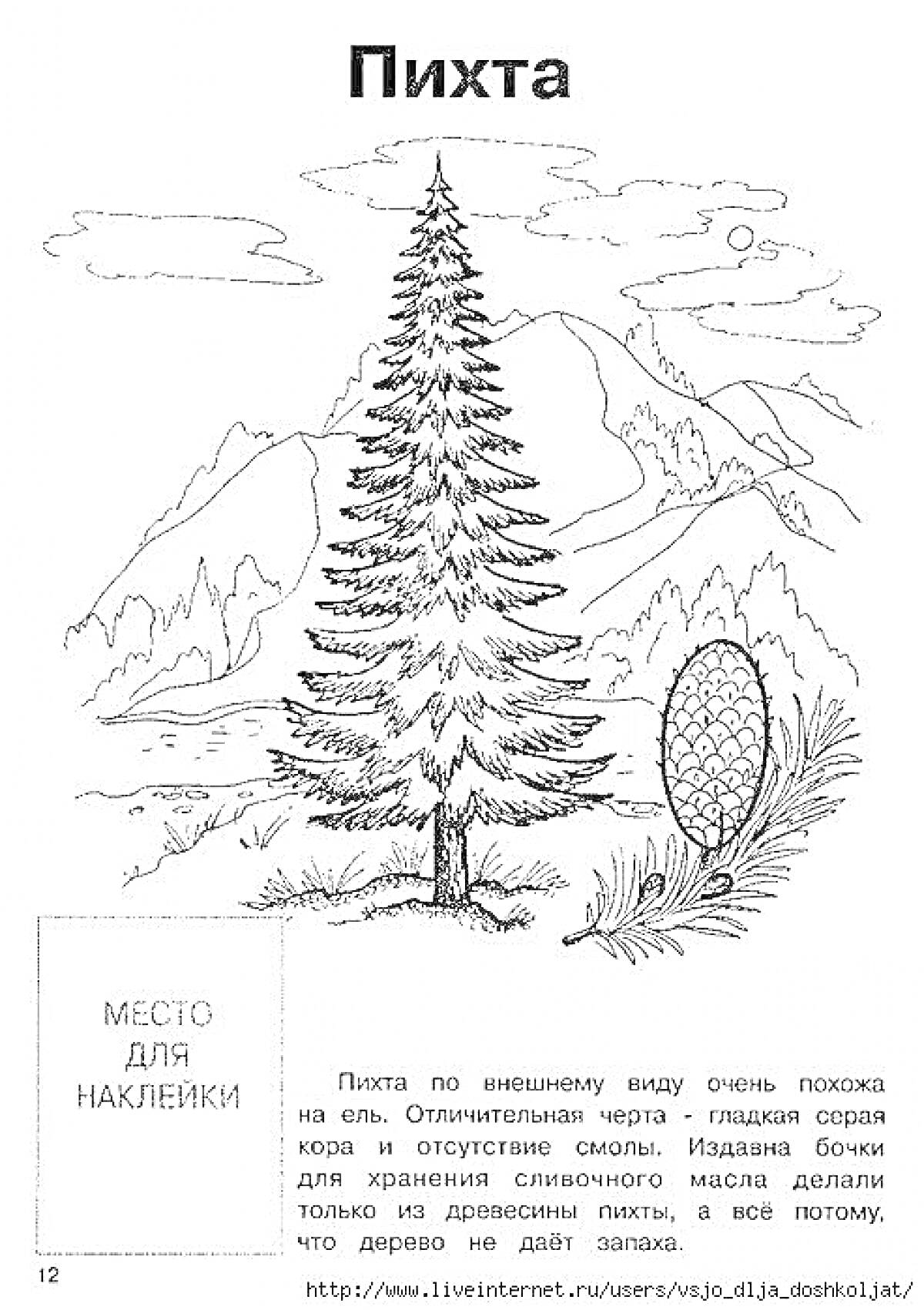 На раскраске изображено: Пихта, Горы, Природа, Текст, Пейзаж