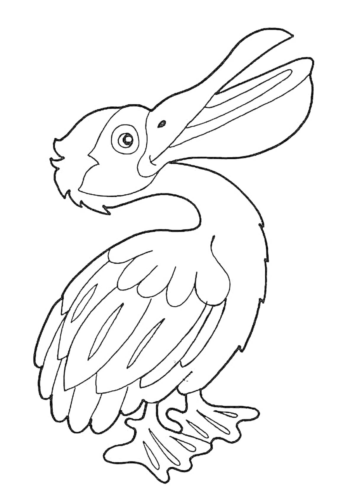 На раскраске изображено: Пеликан, Птица, Клюв, Перья, Для печати