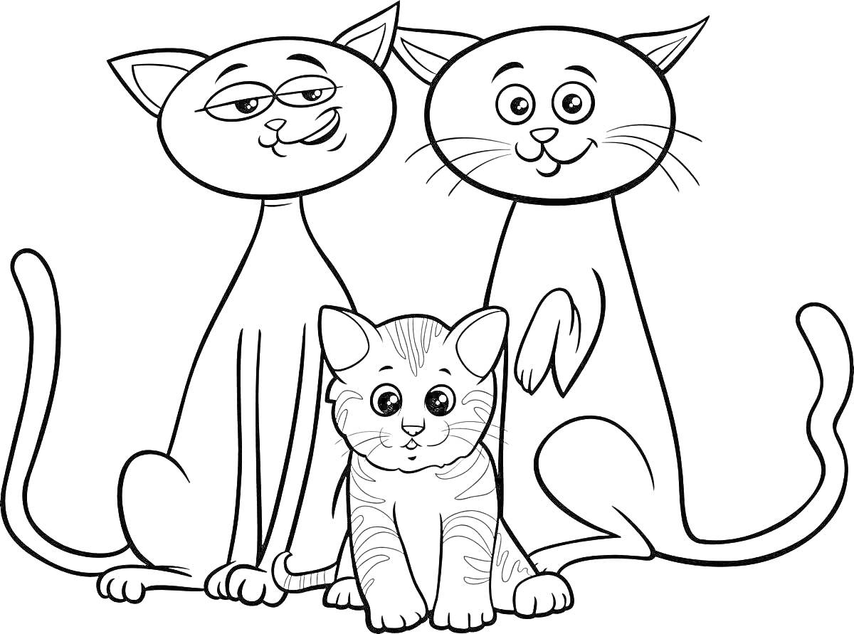 Раскраска Семья кошек с котенком (два взрослых кота и котенок, с улыбками и длинными хвостами)