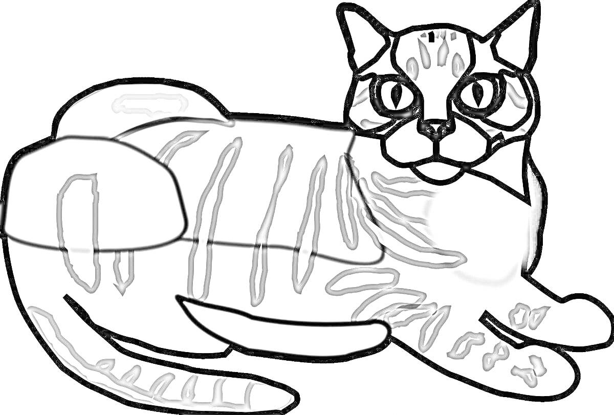 Раскраска Лежащий полосатый кот