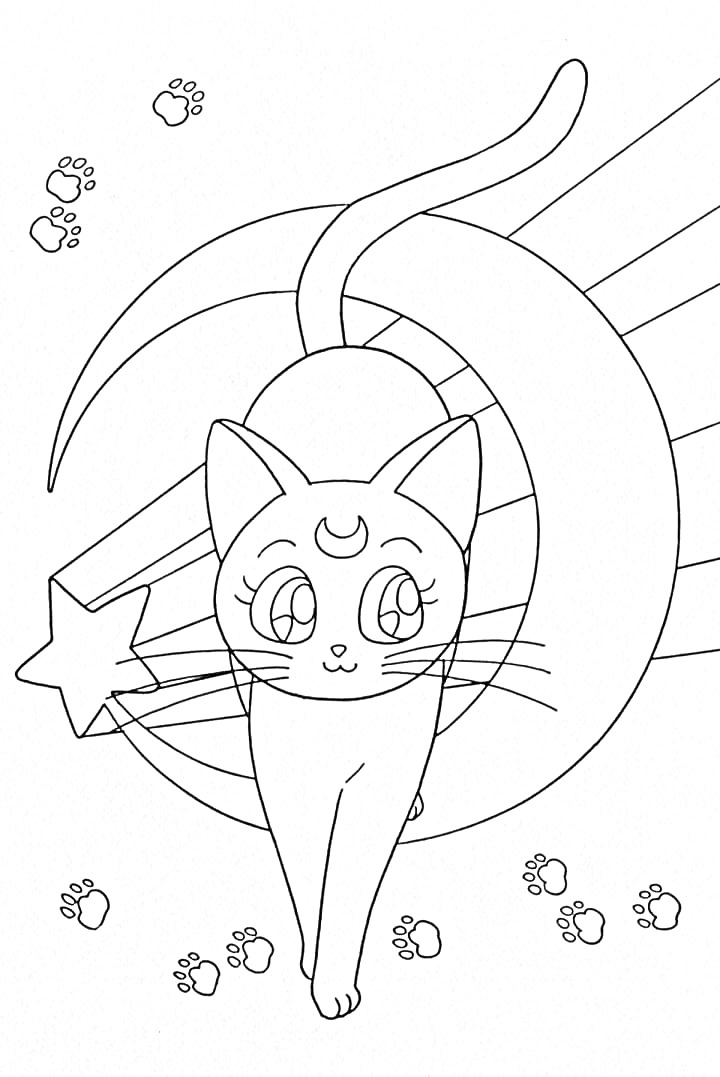 Раскраска Кошка с луной и звёздочками на фоне с отпечатками лап.
