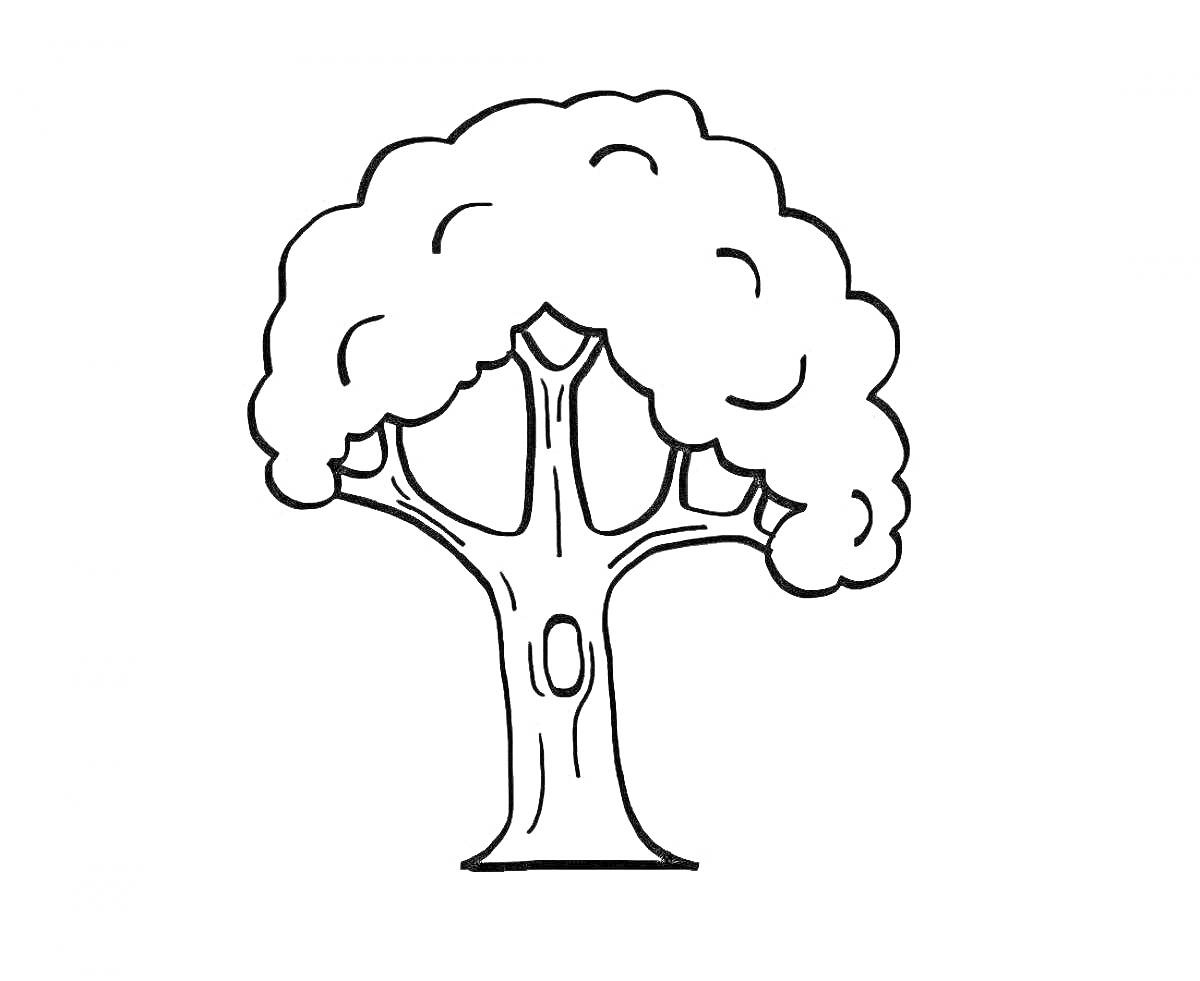 Раскраска Дерево с пышной кроной и узором на стволе