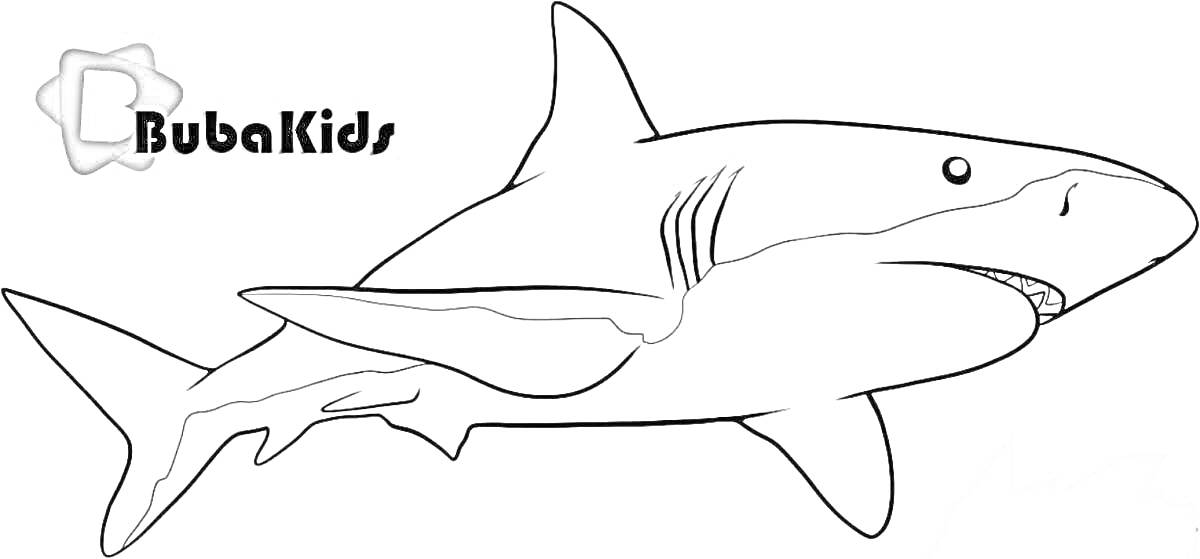 Раскраска Раскраска с изображением акулы от BubaKids
