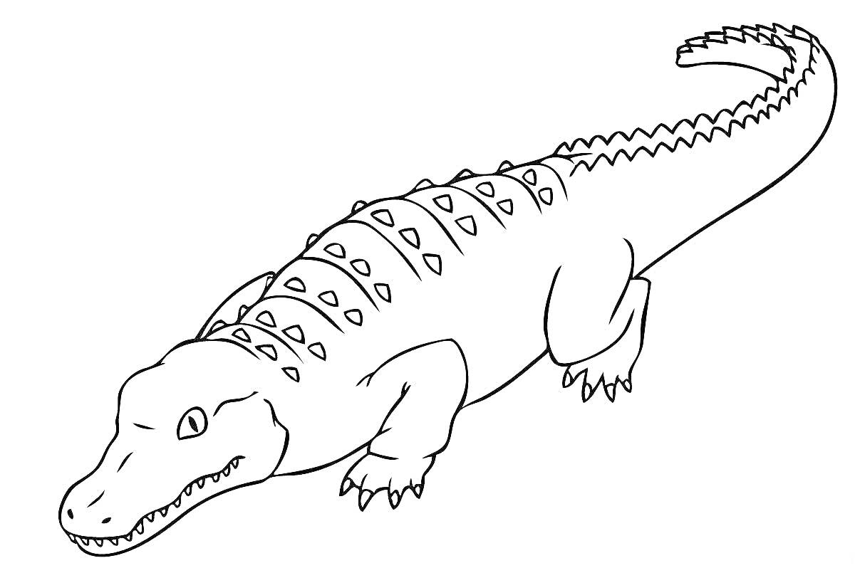 На раскраске изображено: Крокодил, Животные, Природа, Чешуя, Хвост, Острые зубы, Для детей, Рептилии