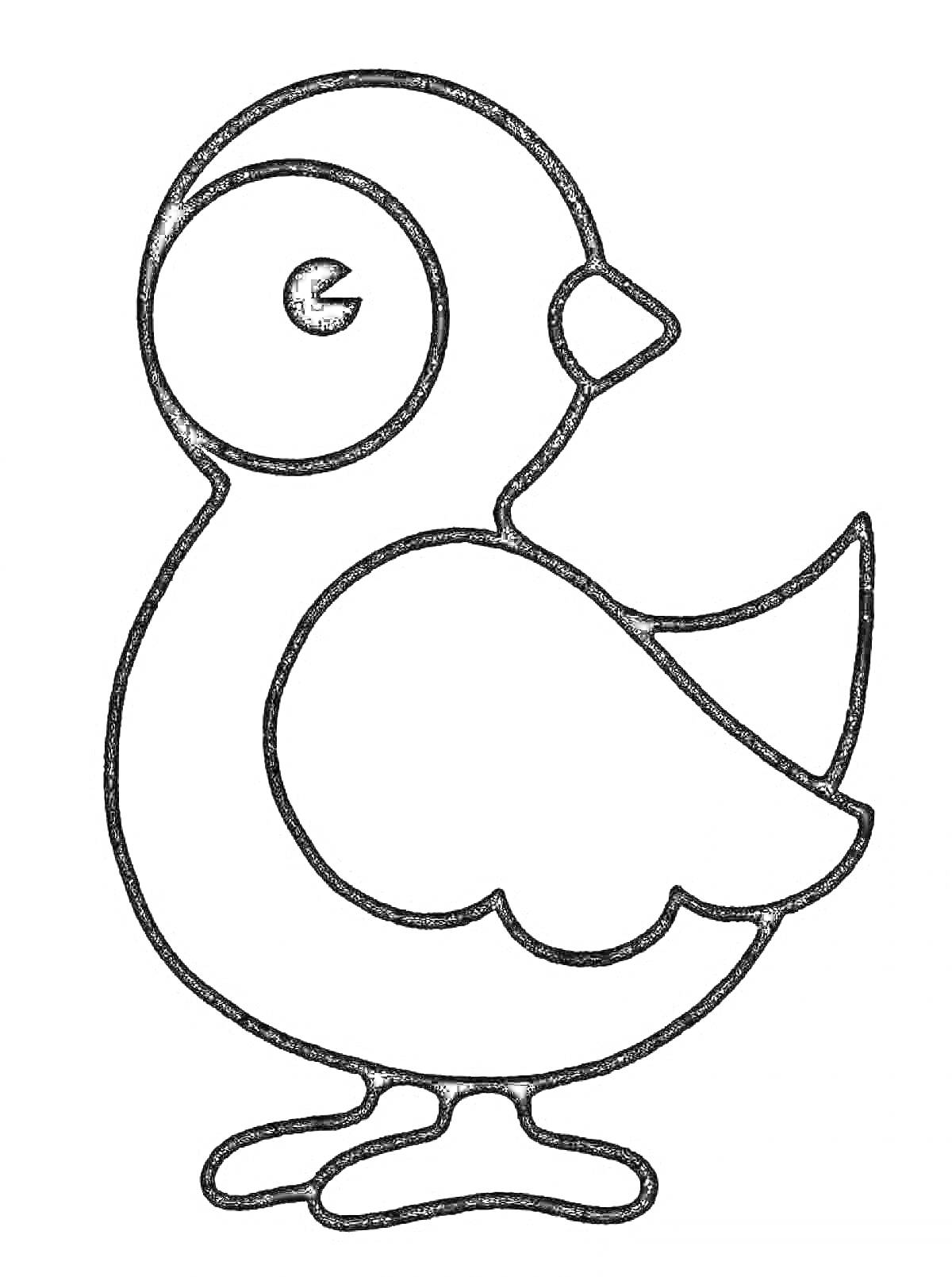 На раскраске изображено: Птица