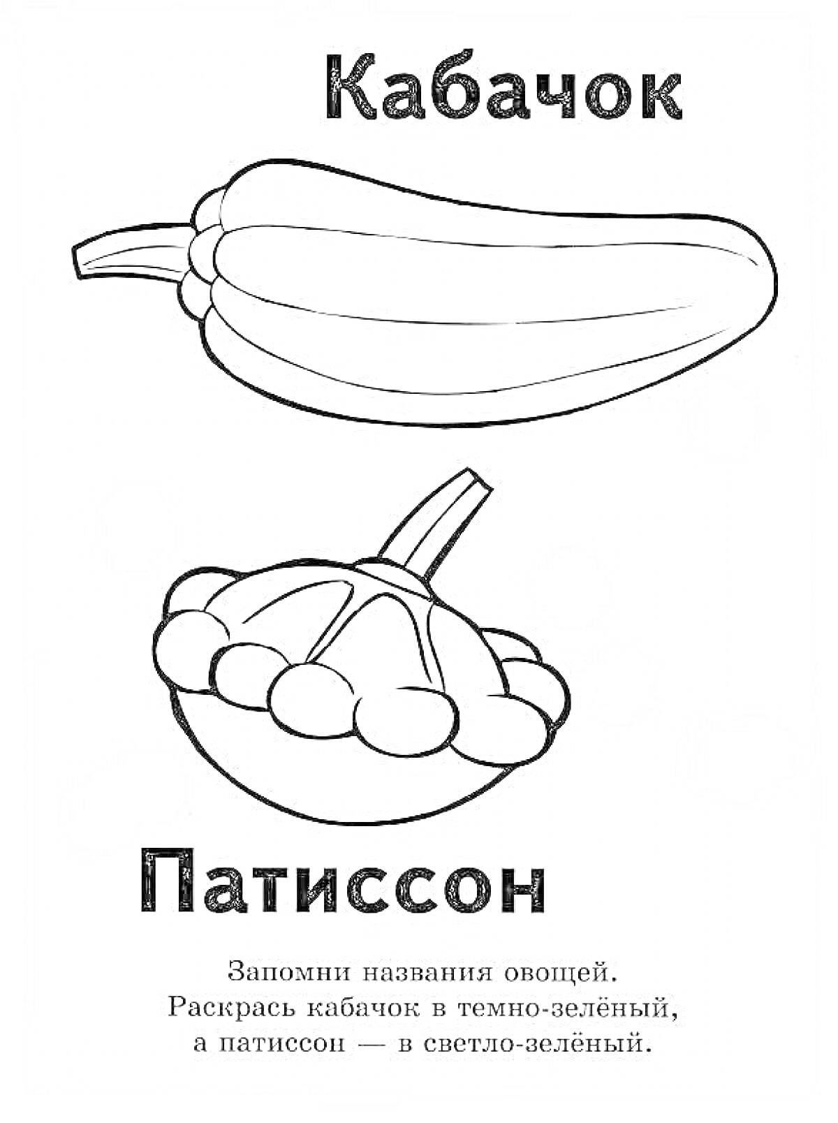 На раскраске изображено: Кабачок, Овощи, Обучение, Зеленый, Светло-зелёный