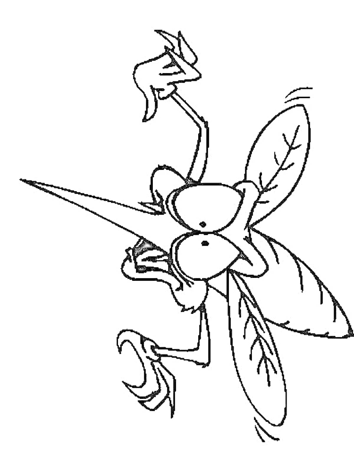 Раскраска Комар с длинным хоботком, большими глазами и лапками, сложенными перед телом